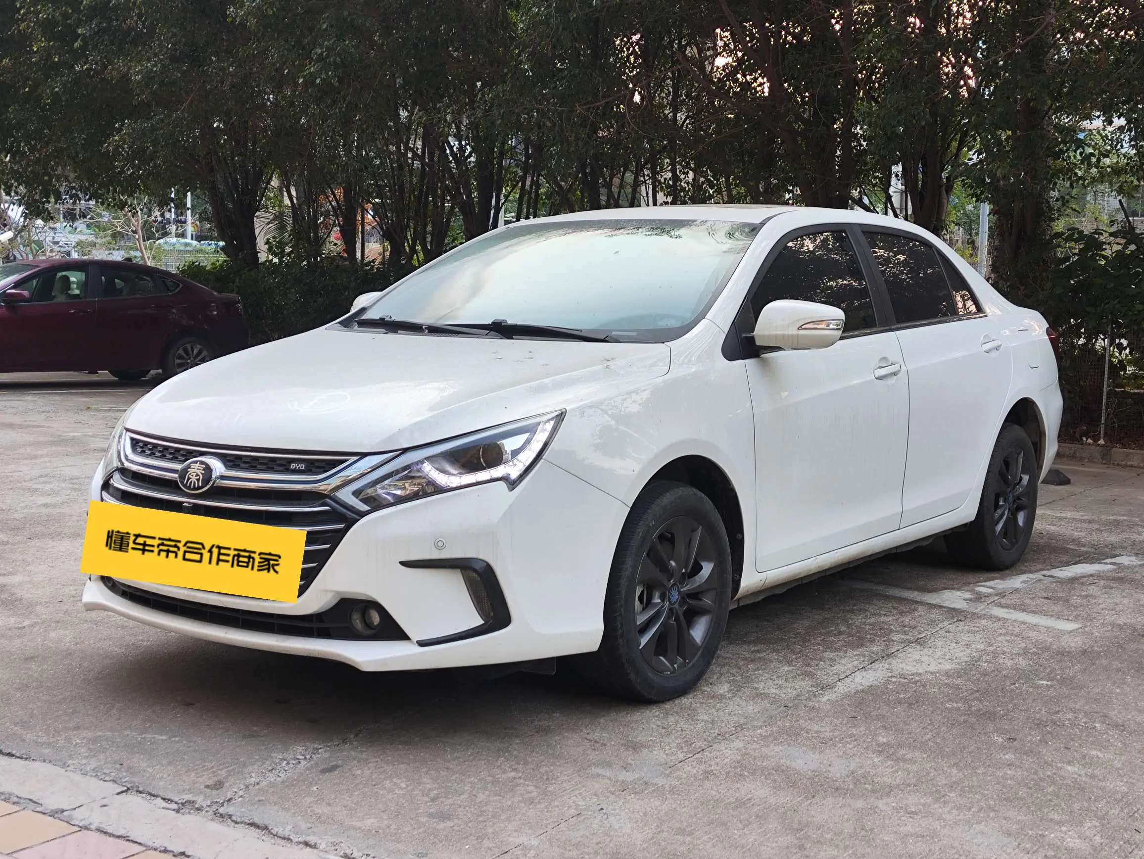 BYD Qin DM