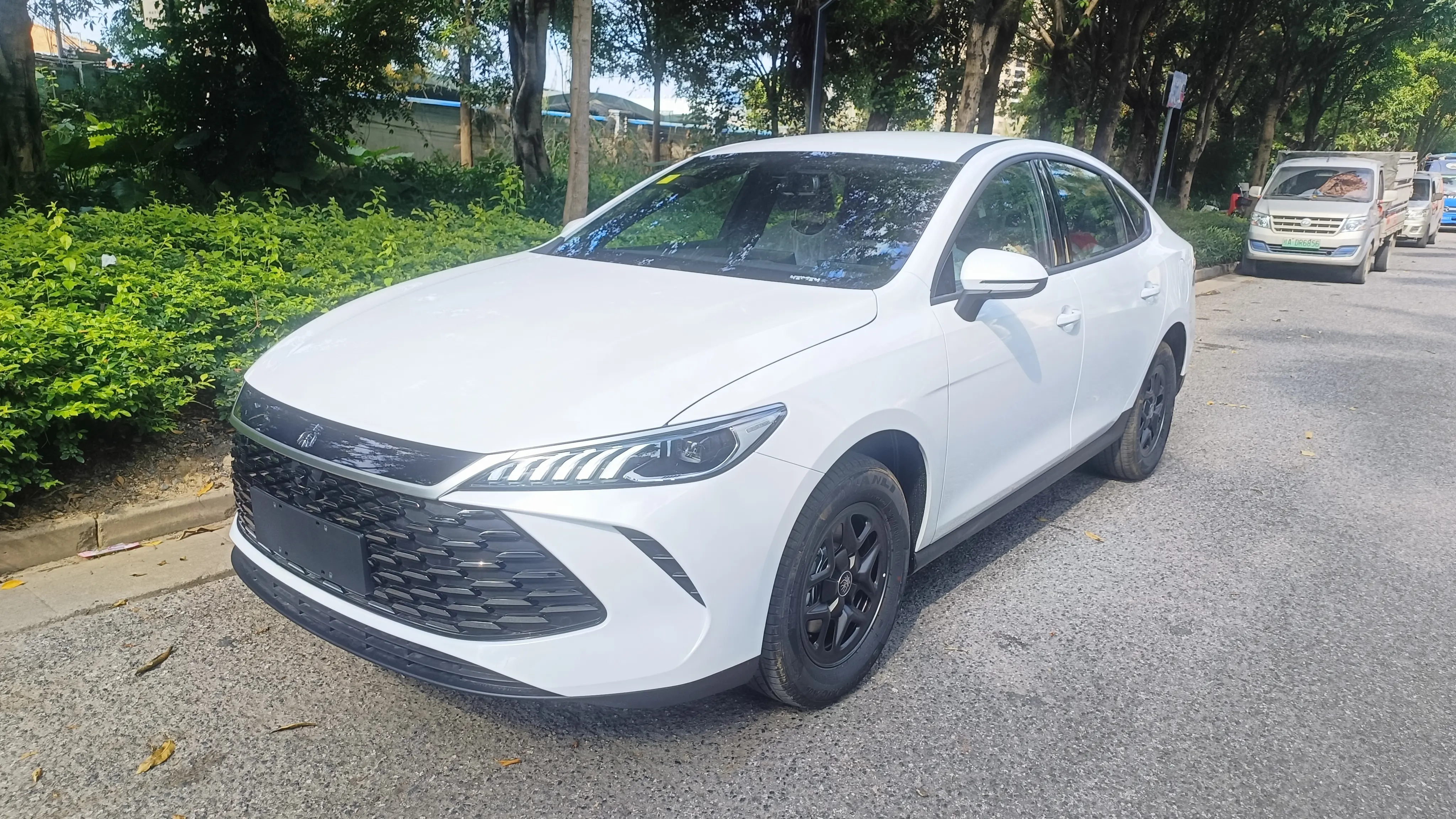 BYD Qin PLUS DM