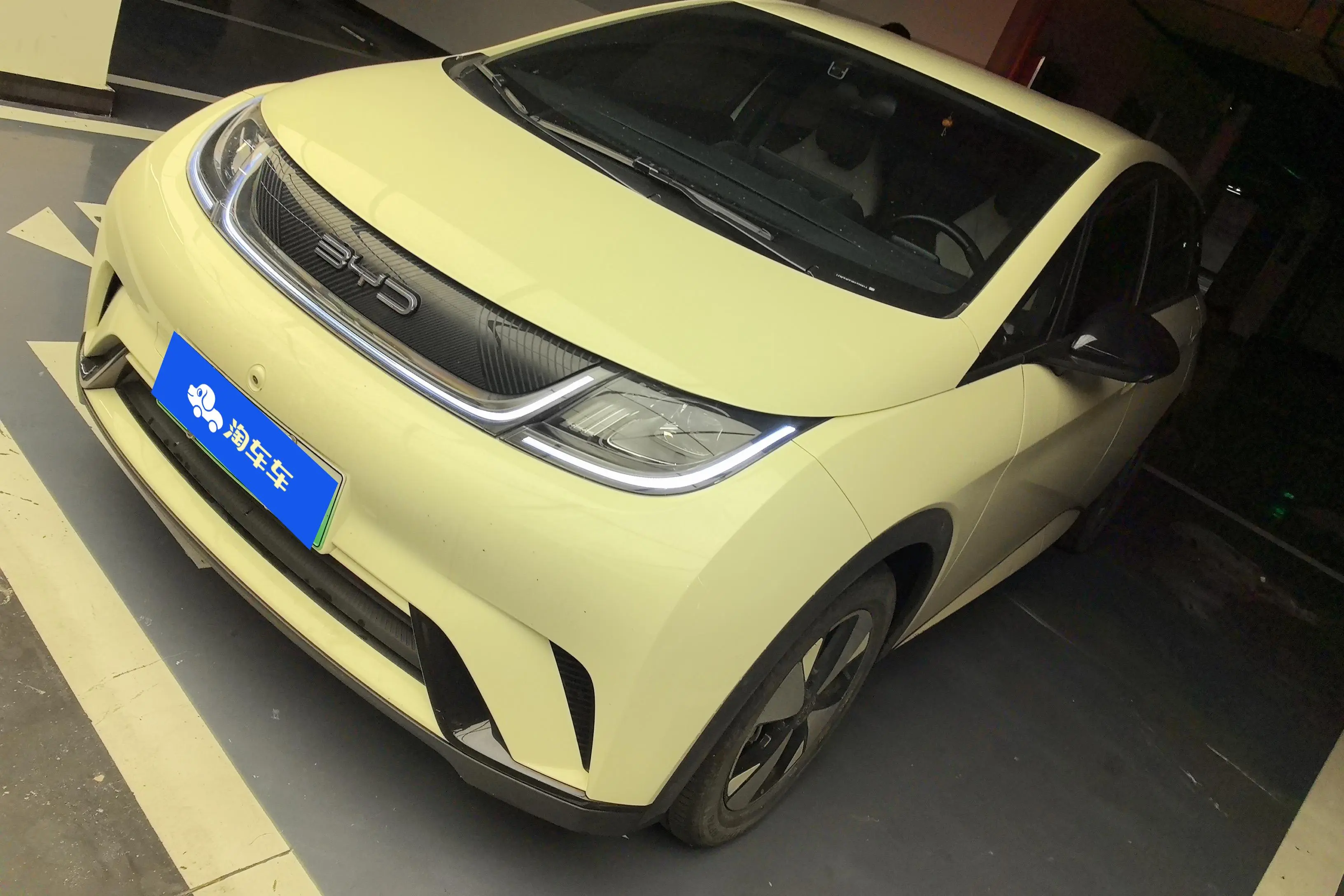 BYD Dolphin