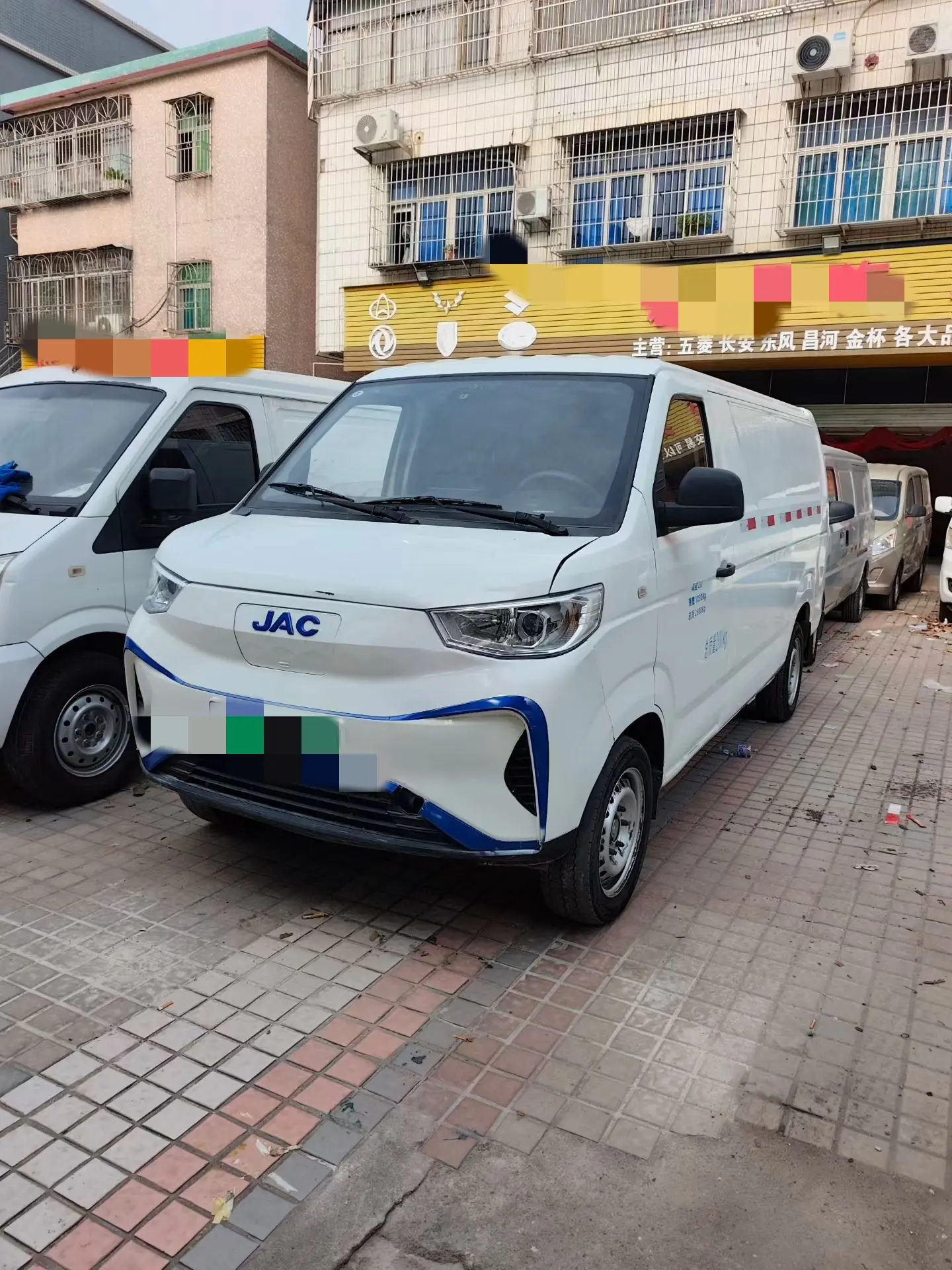Jiangxi Blue cat