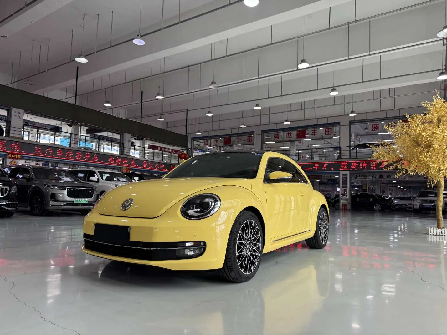 Volkswagen Beetle