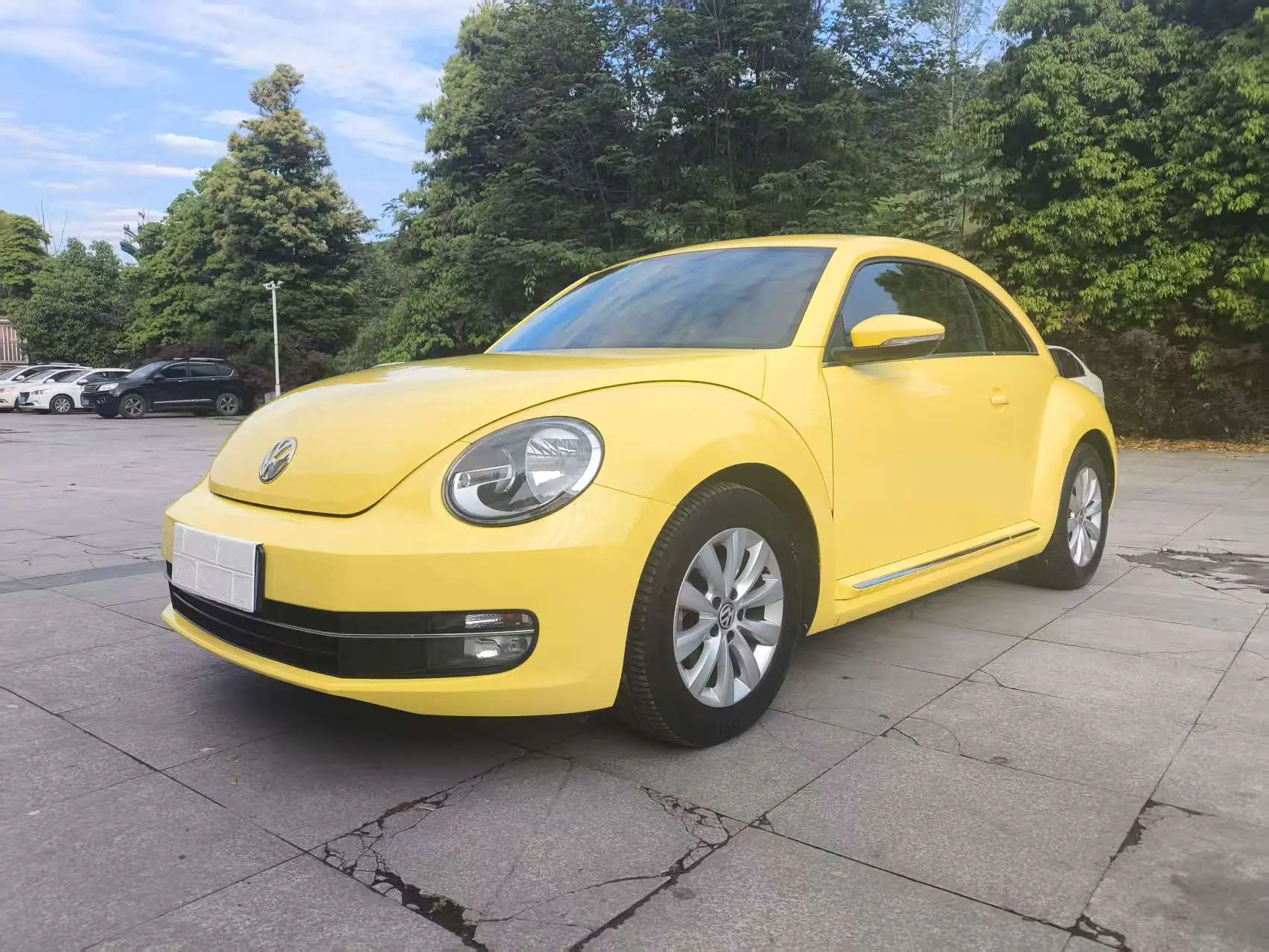 Volkswagen Beetle