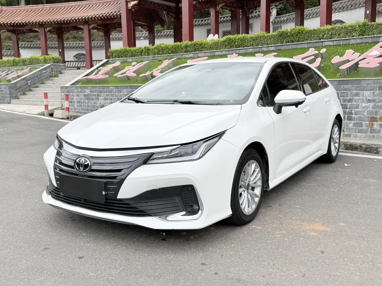 Toyota Asiatic lion