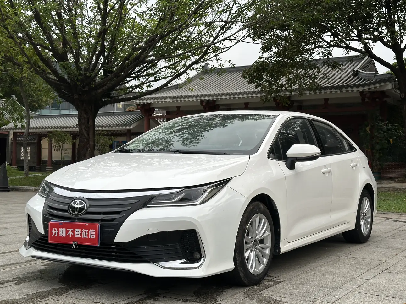 Toyota Asiatic lion