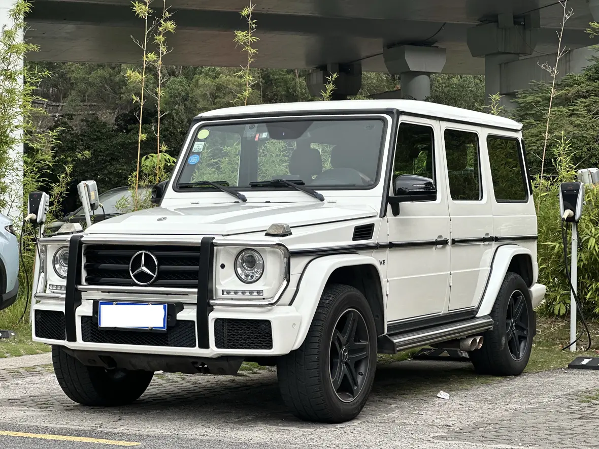 Mercedes-Benz Mercedes Benz G Class