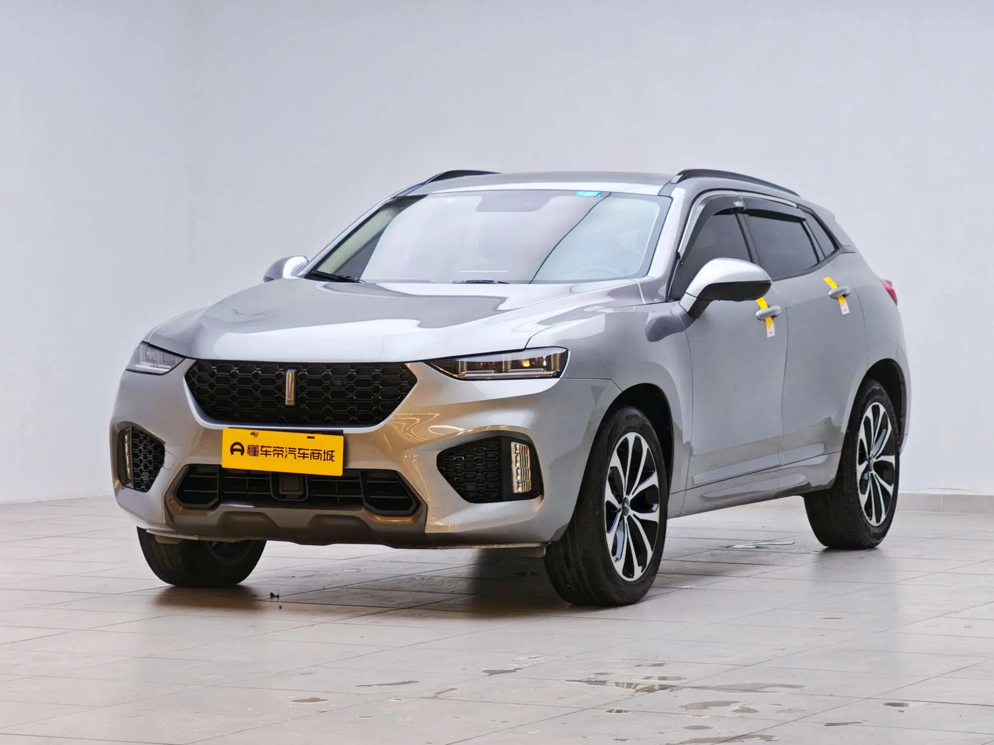 Wey Wei brand VV7