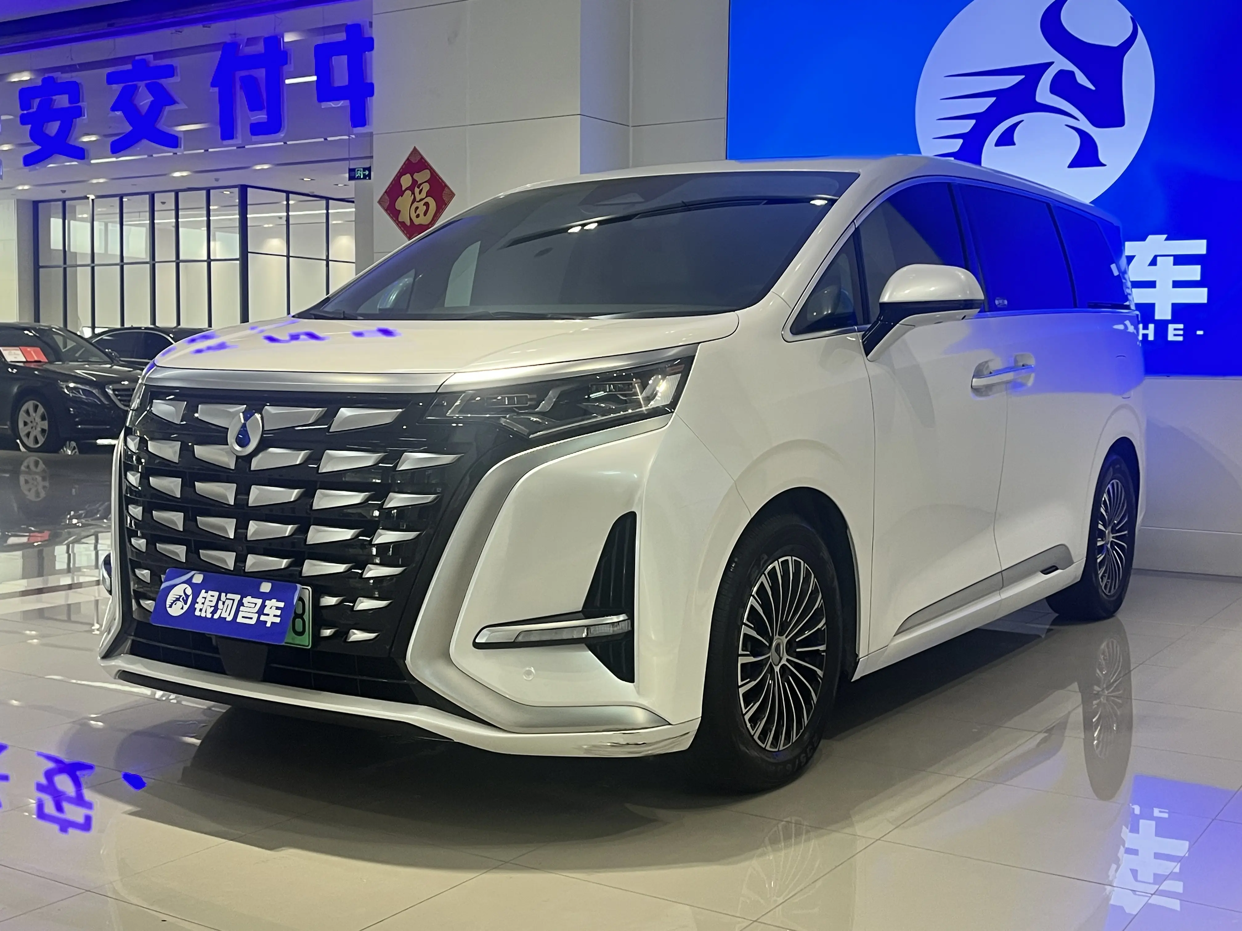 Denza D9 DM