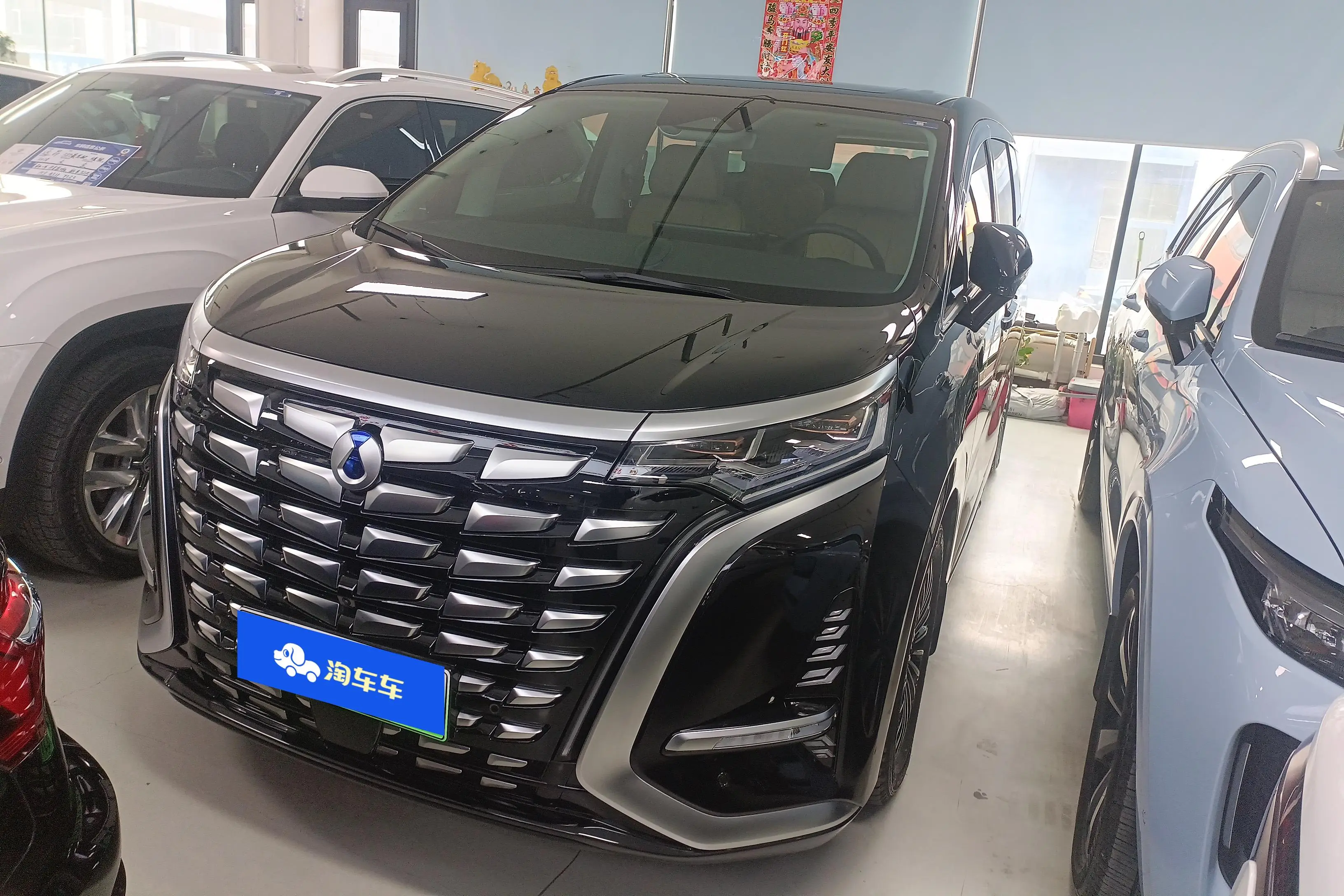 Denza D9 DM