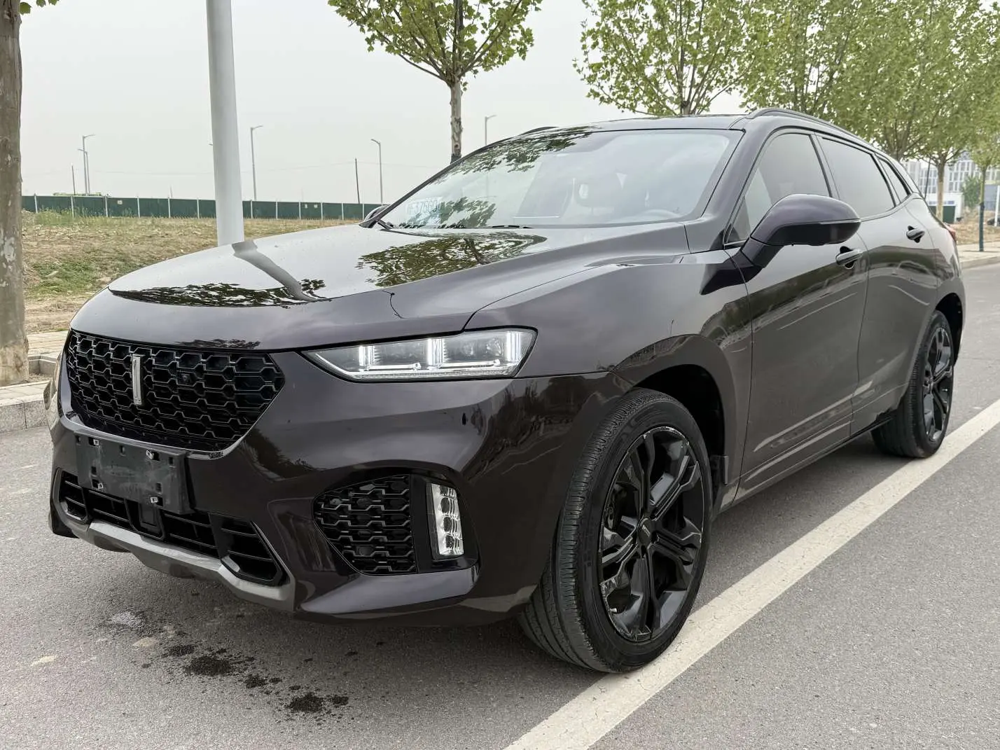 Wey Wei brand VV7