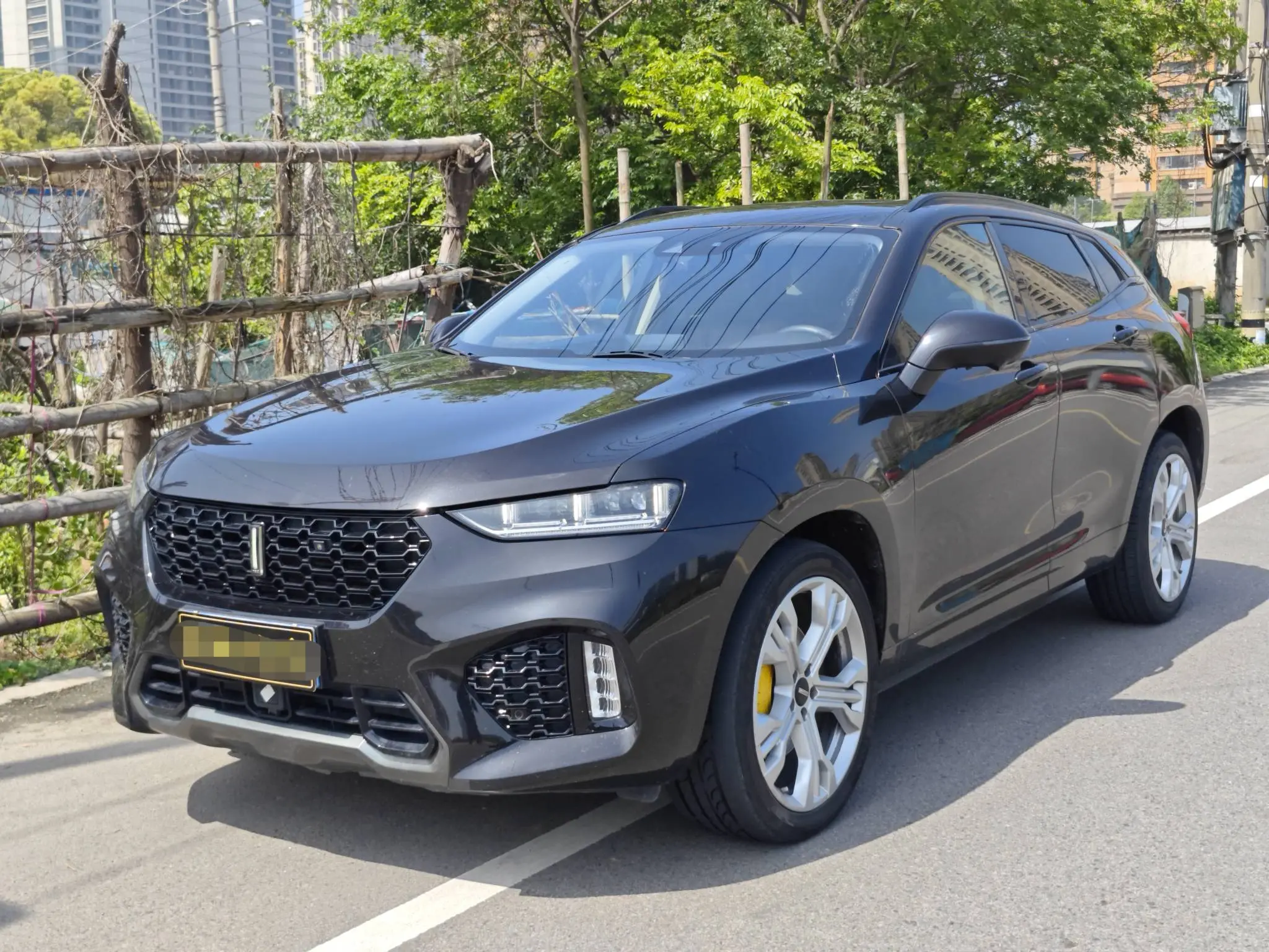 Wey Wei brand VV7