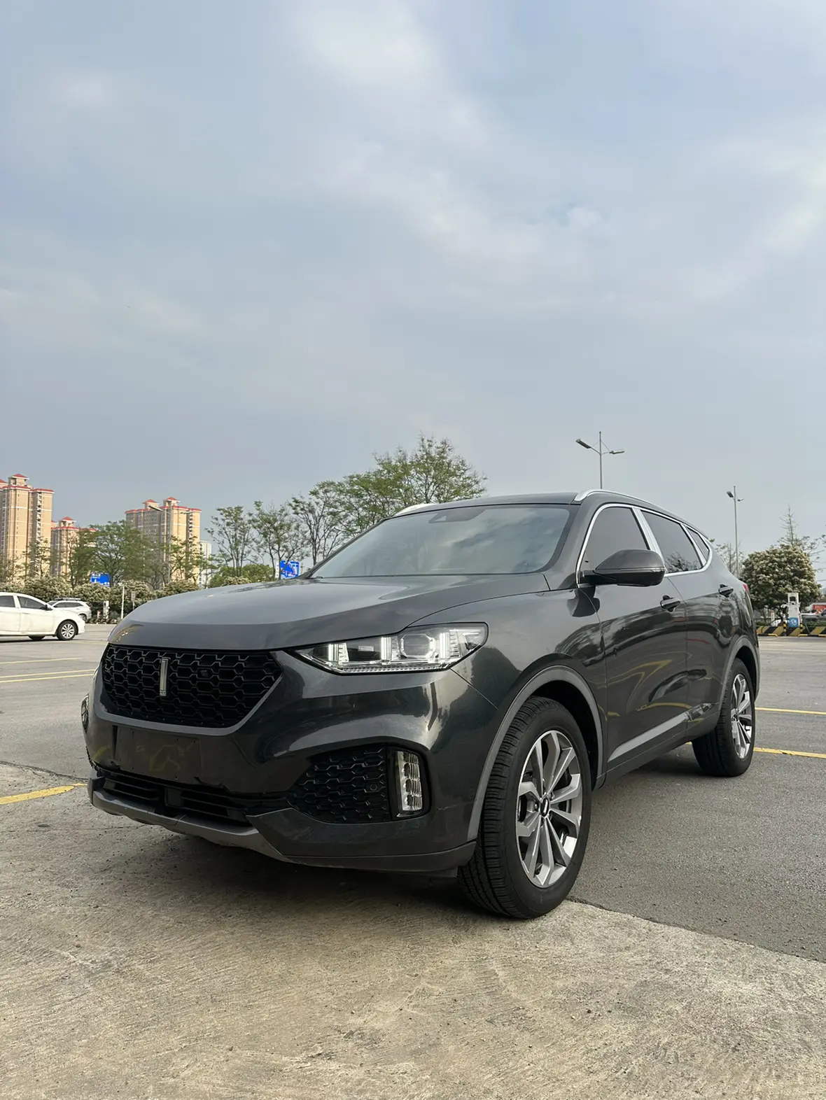 Wey Wei brand VV6