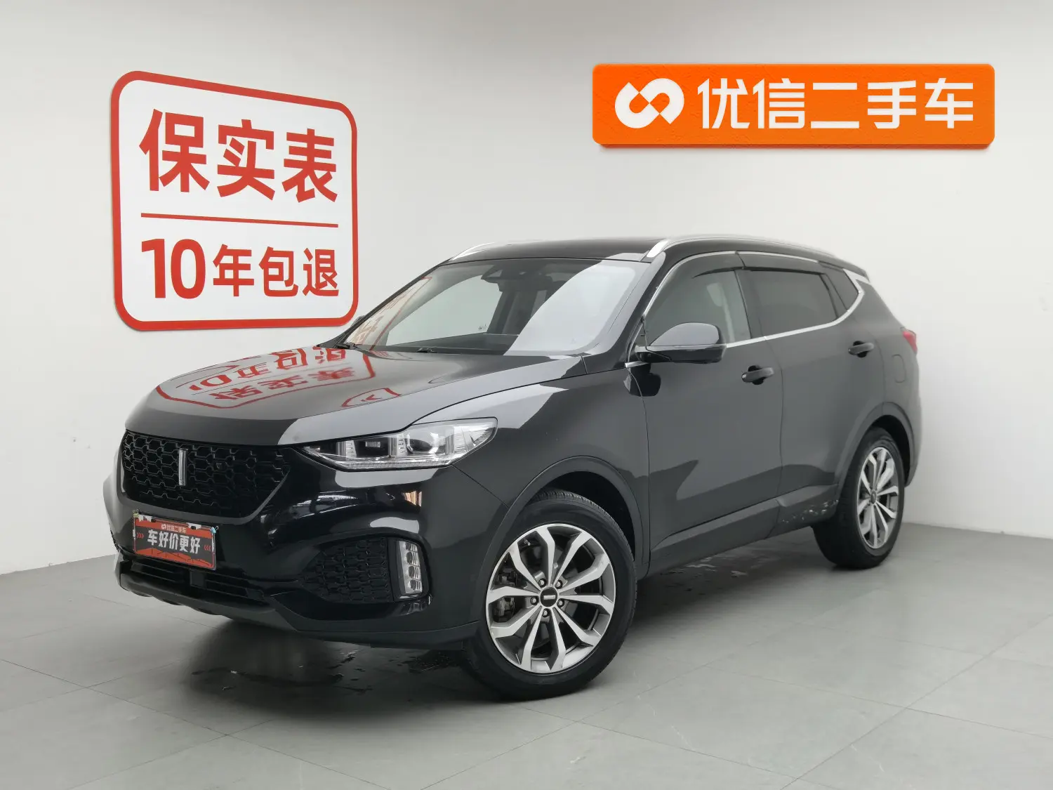 Wey Wei brand VV6