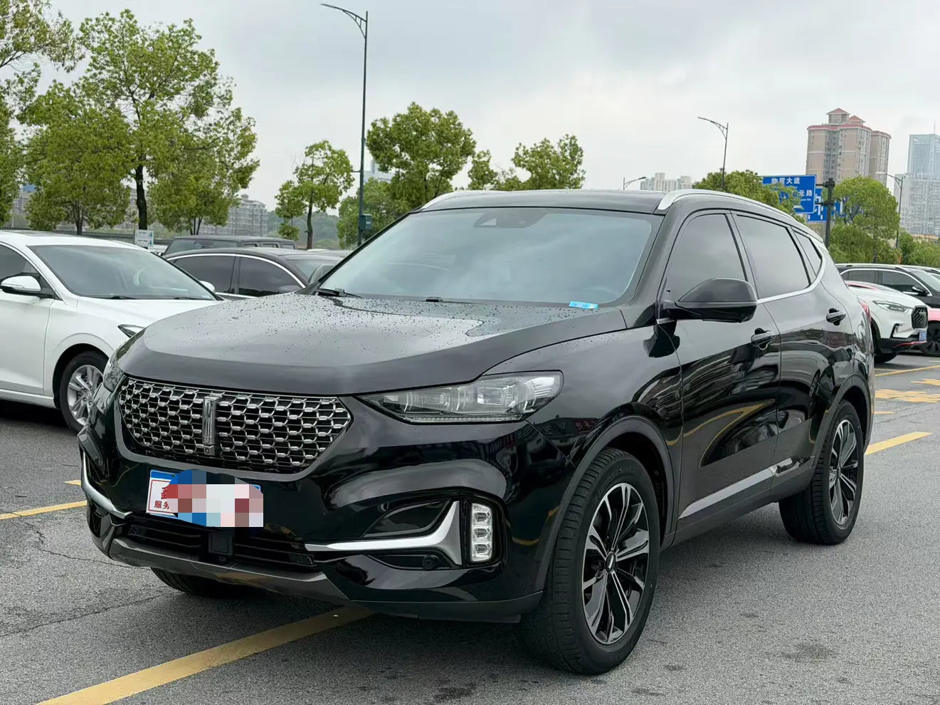 Wey Wei brand VV6