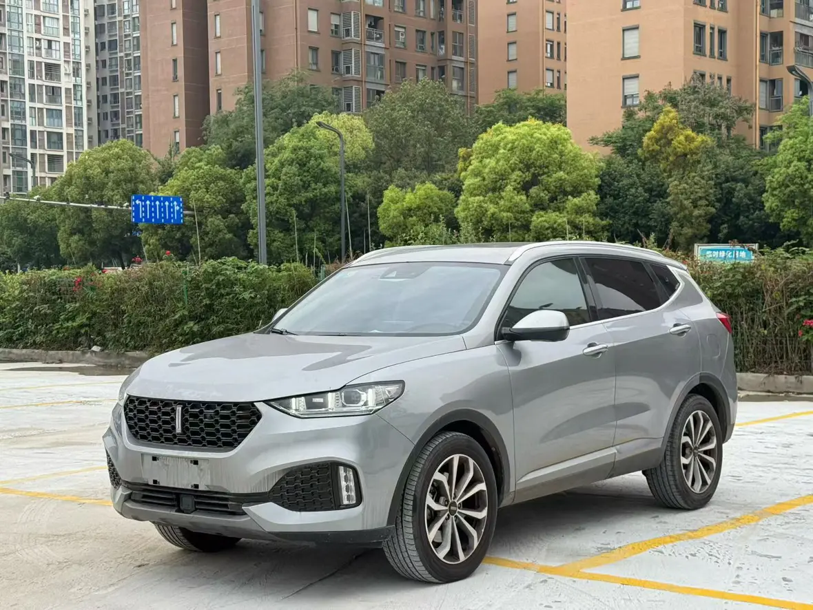 Wey Wei brand VV6