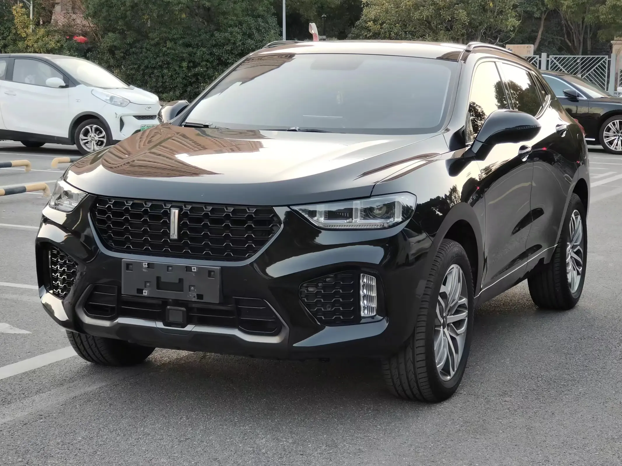 Wey Wei brand VV5