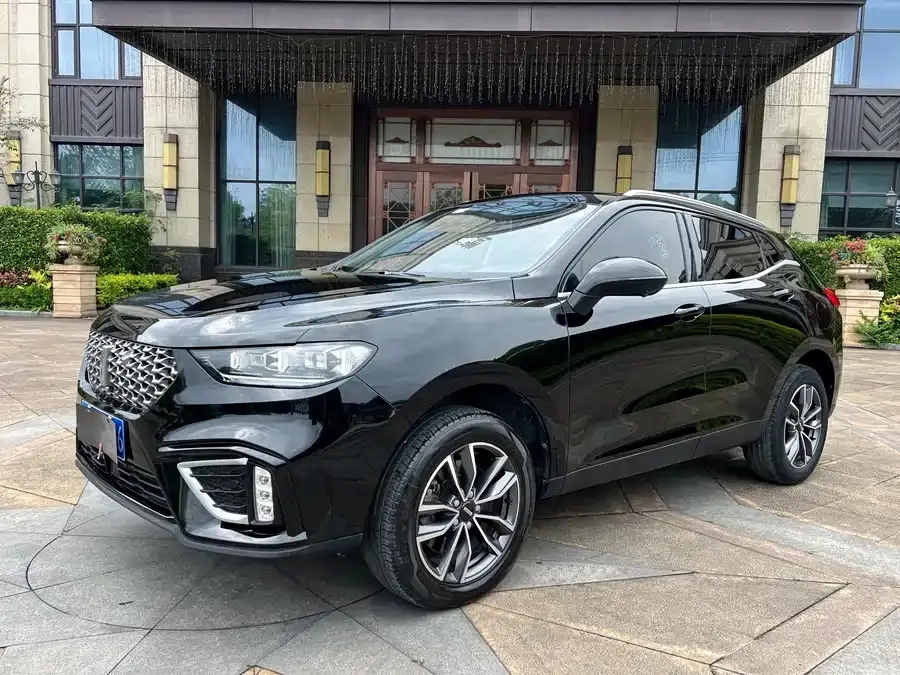 Wey Wei brand VV5