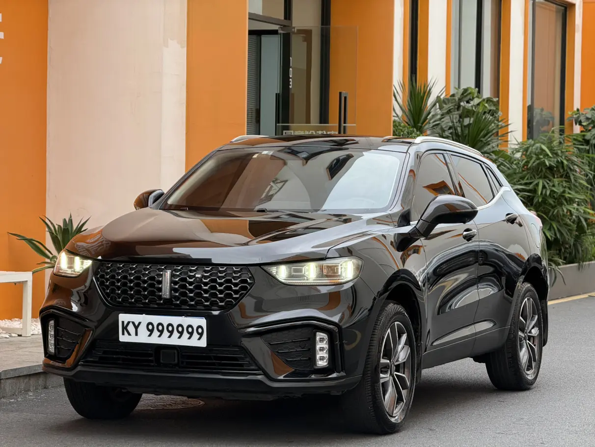 Wey Wei brand VV5
