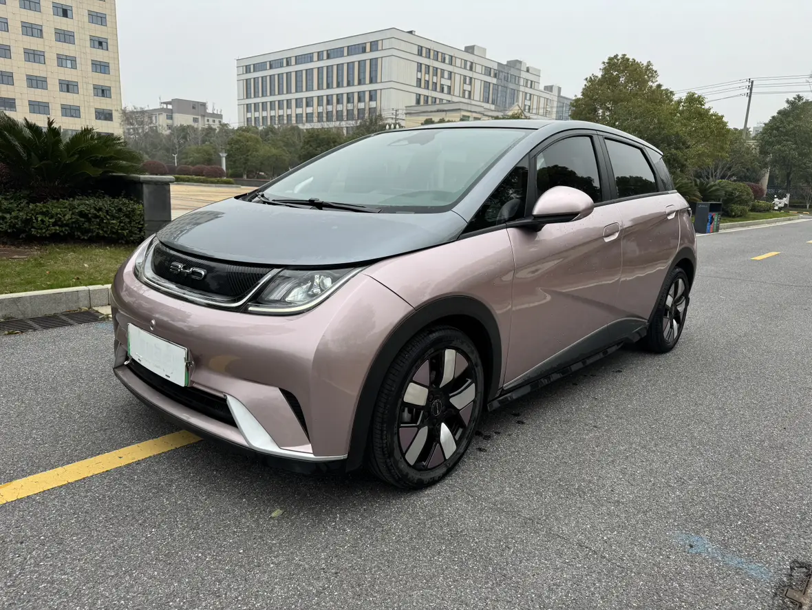 BYD Dolphin