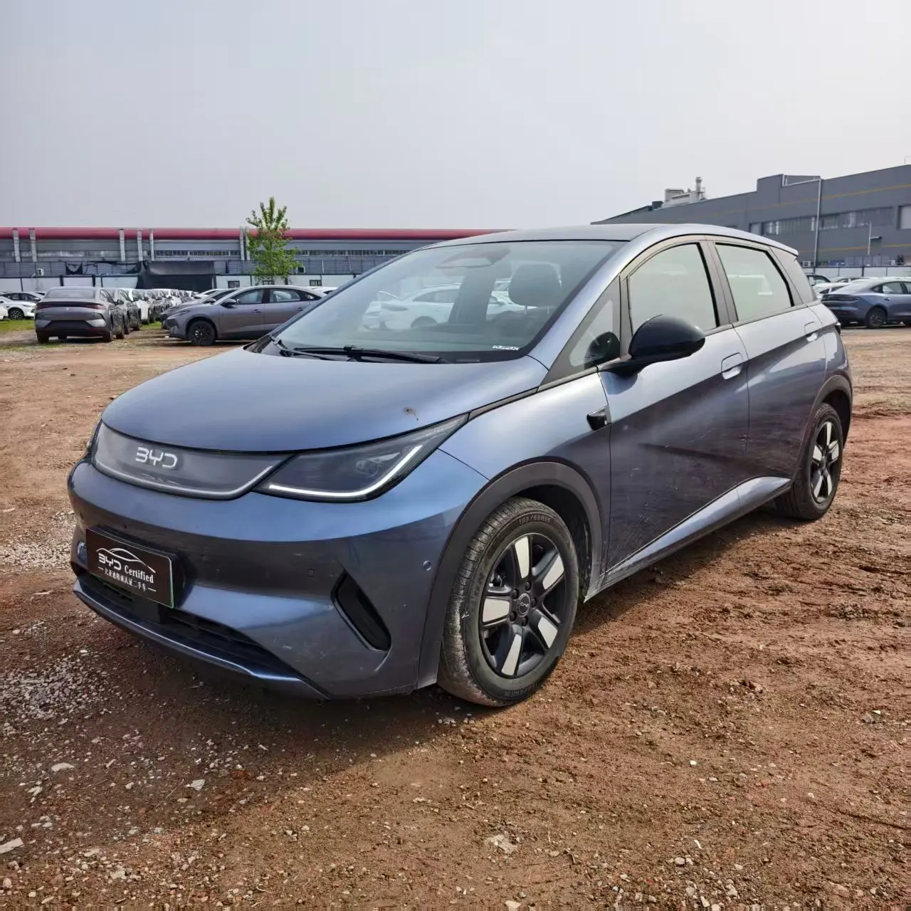 BYD Dolphin