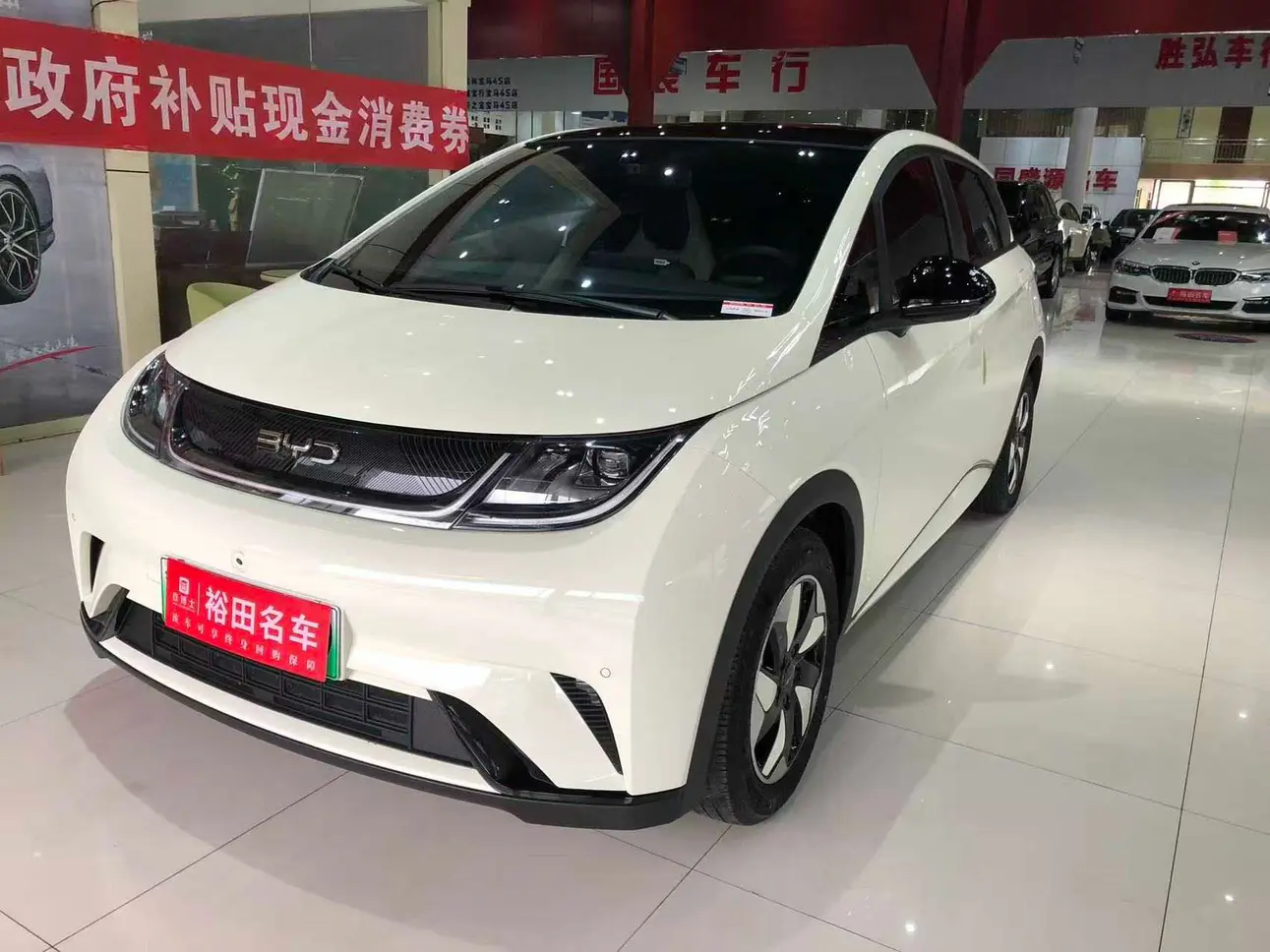 BYD Dolphin