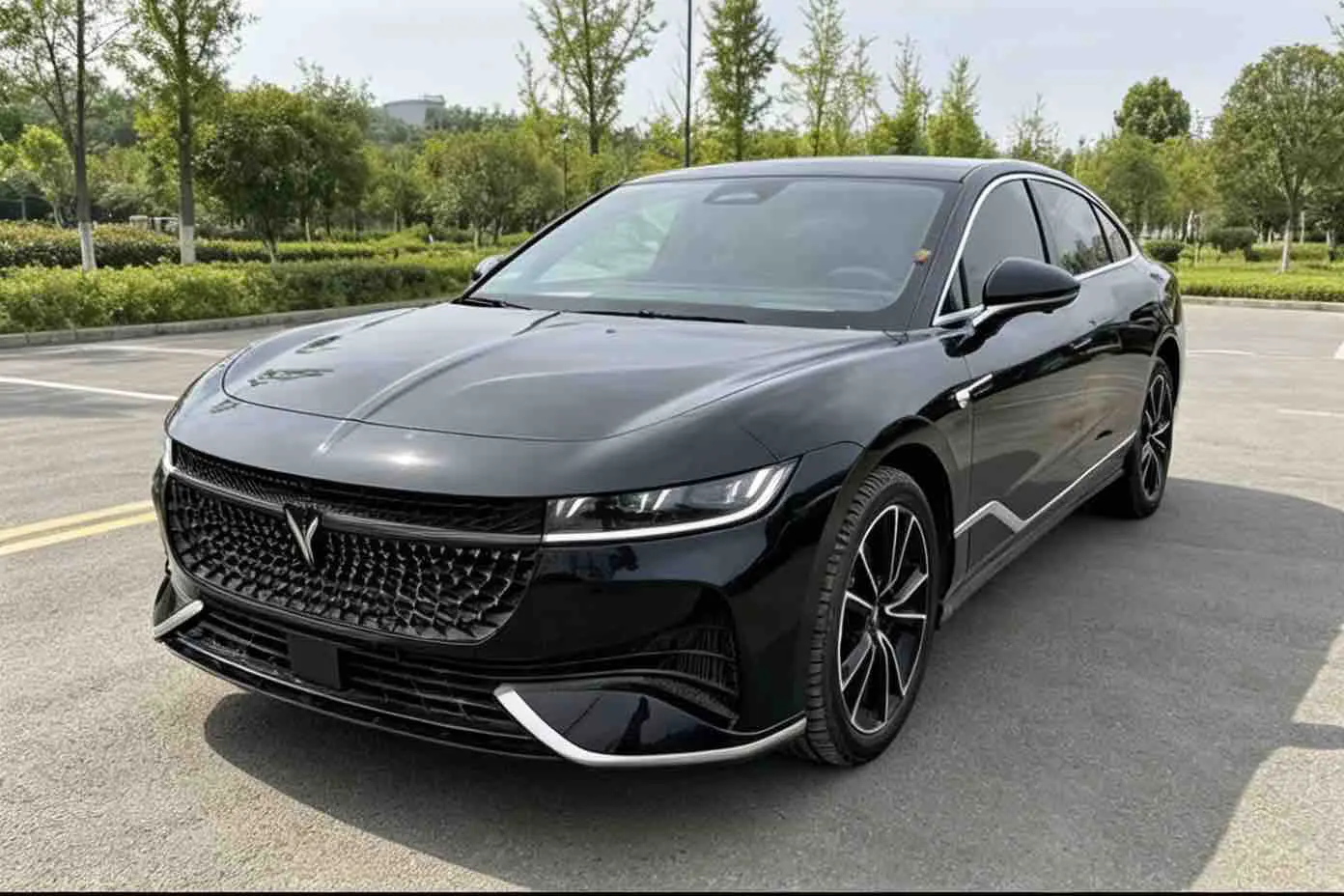 Voyah Passion PHEV
