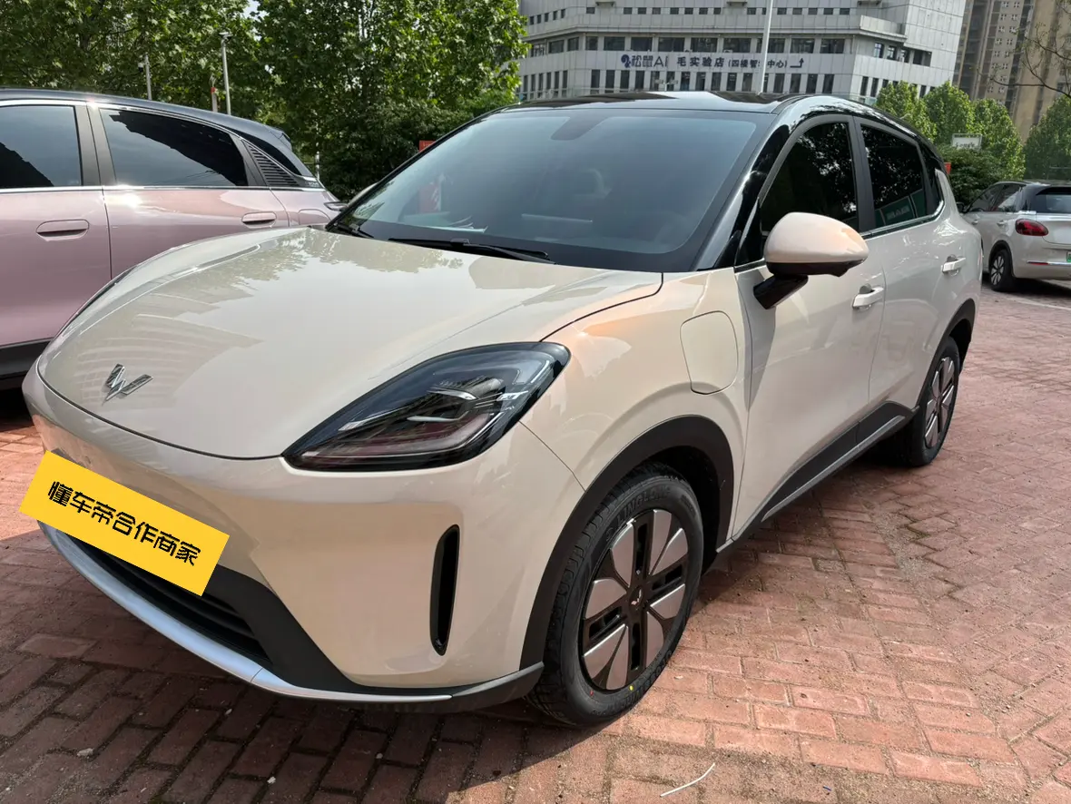 Wuling Bingo S