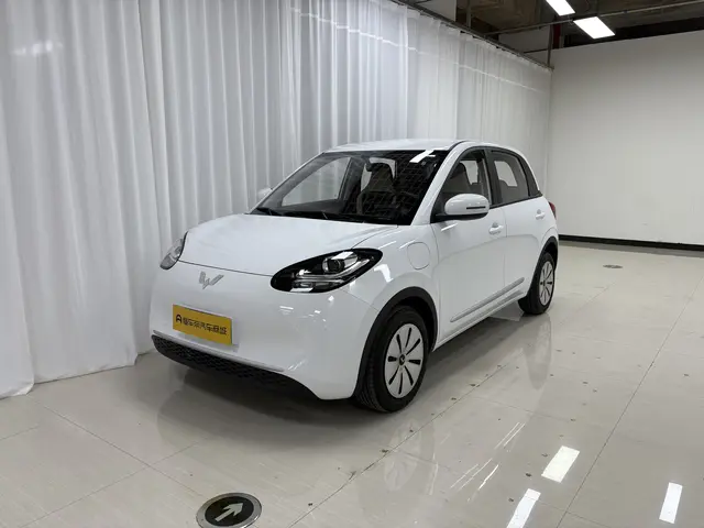 Wuling Bingo