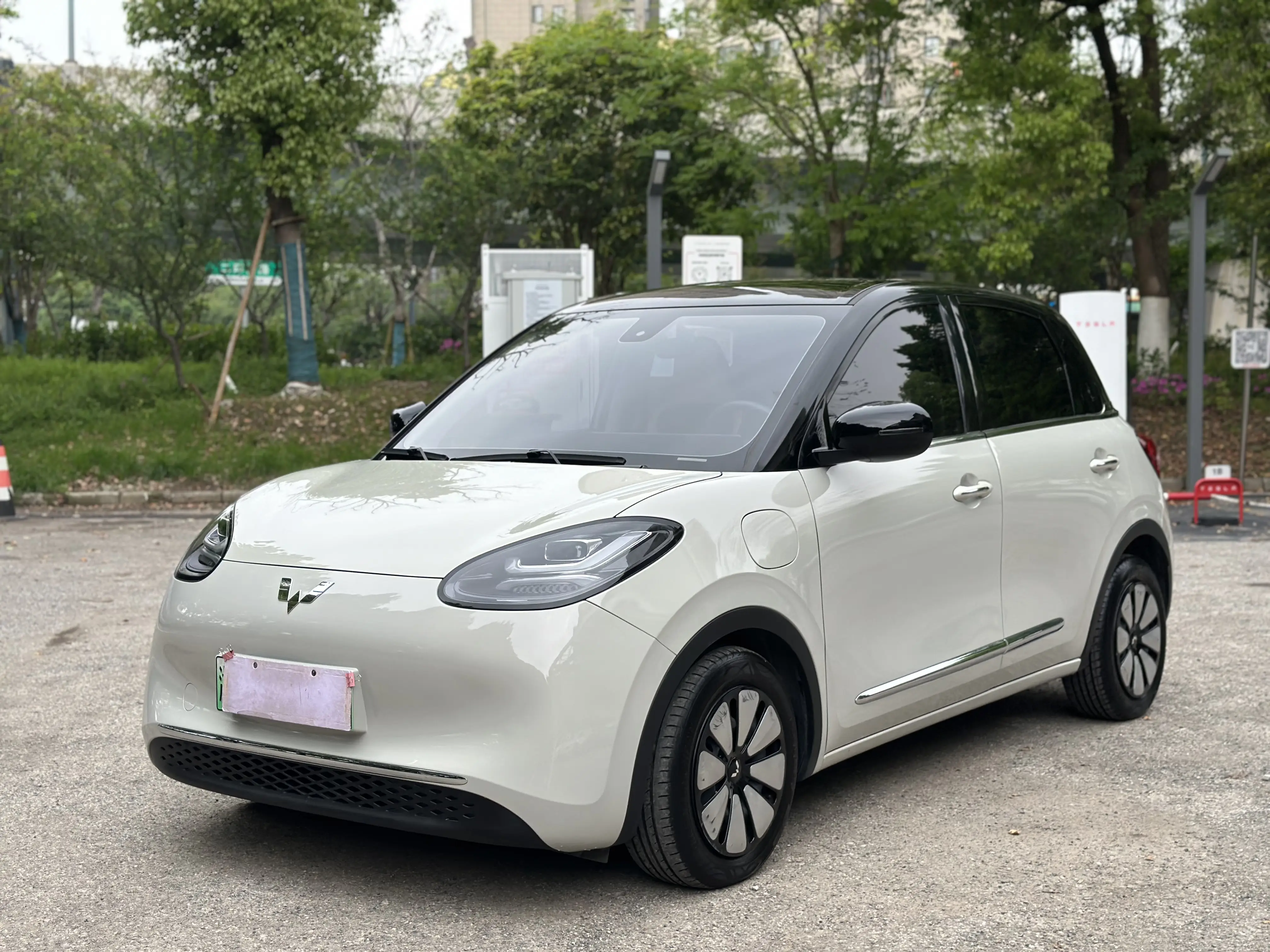 Wuling Bingo