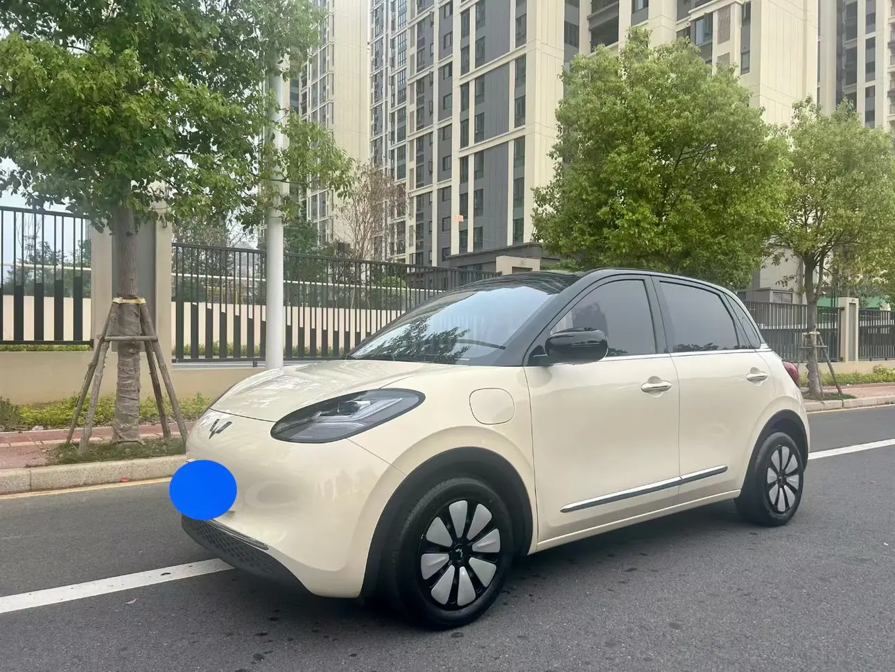 Wuling Bingo