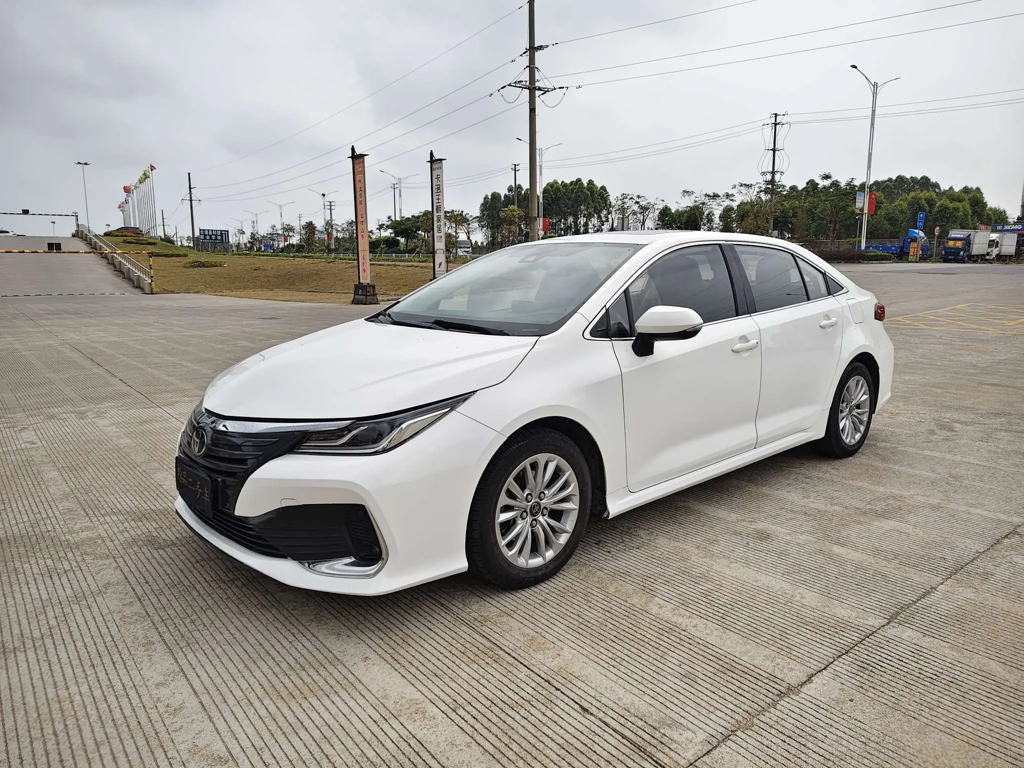 Toyota Asiatic lion