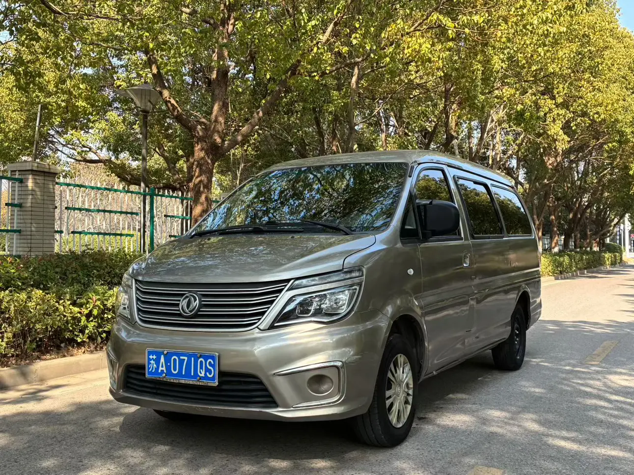 Forthing Lingzhi