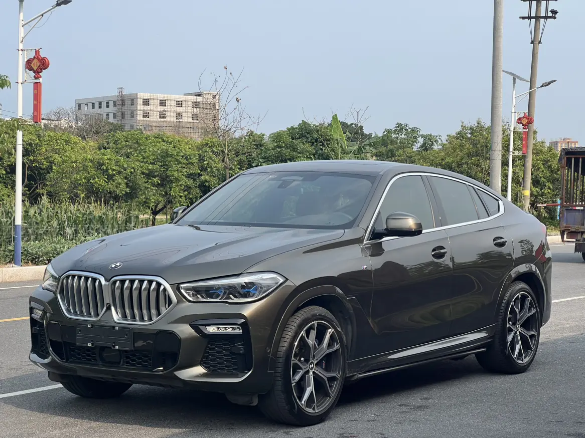 BMW X6