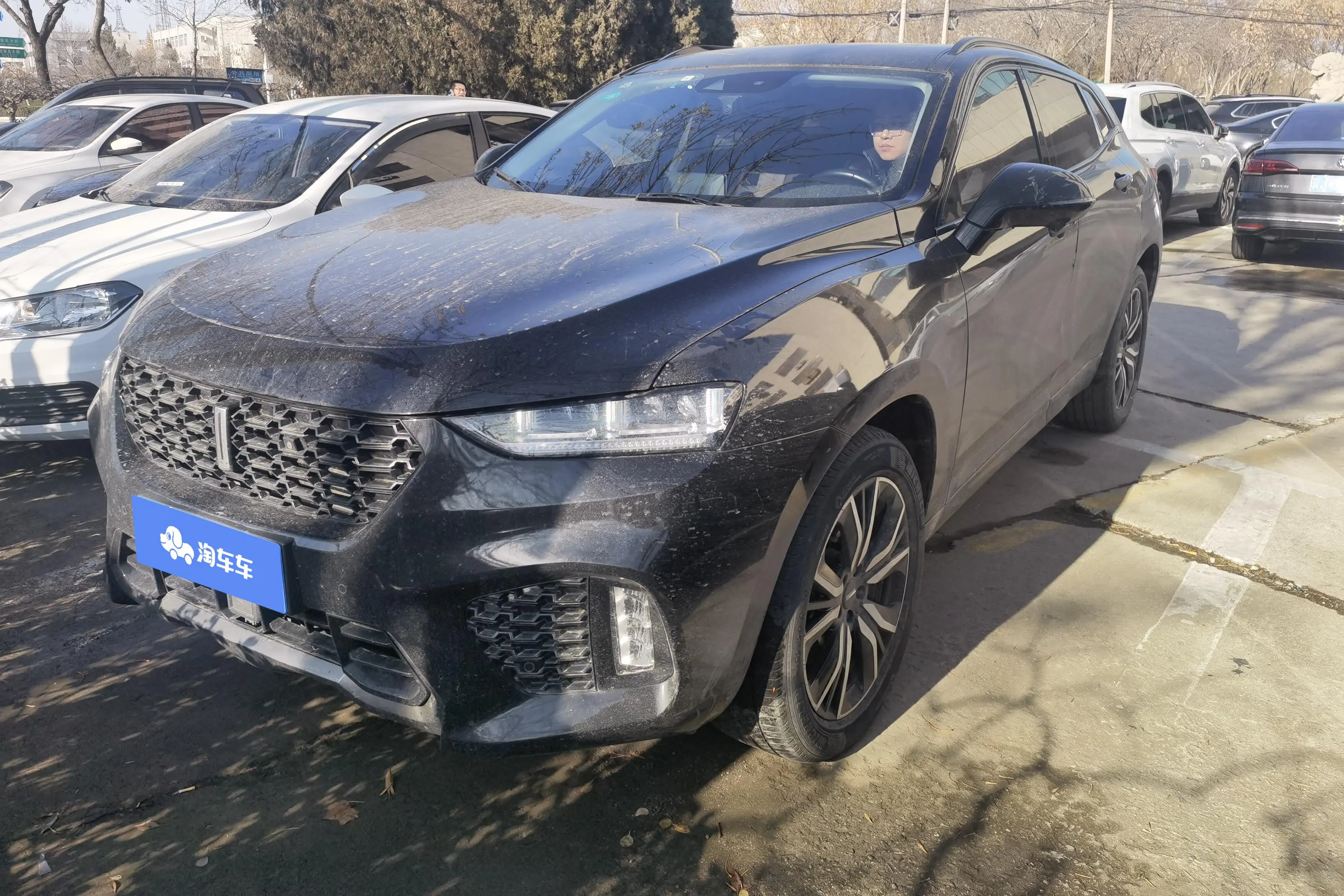 Wey Wei brand VV7
