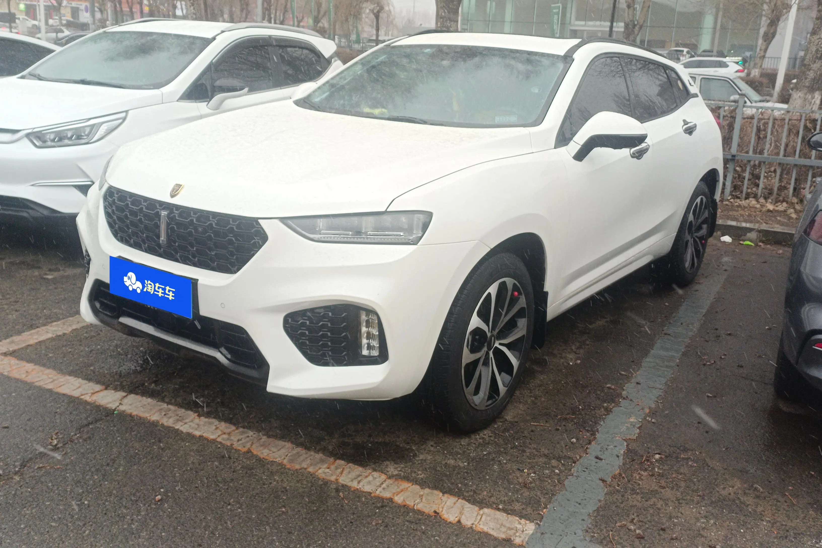 Wey Wei brand VV7