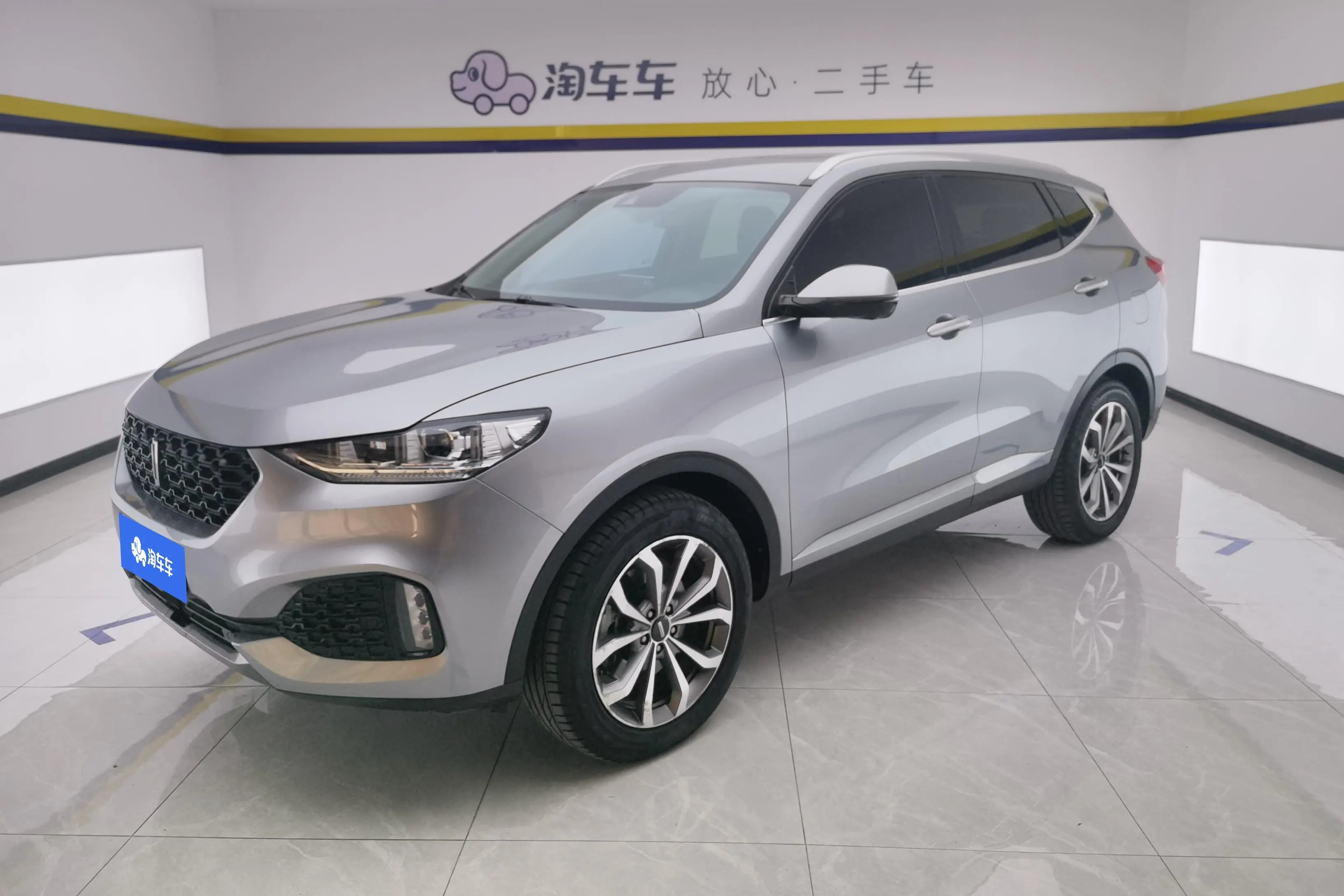 Wey Wei brand VV6