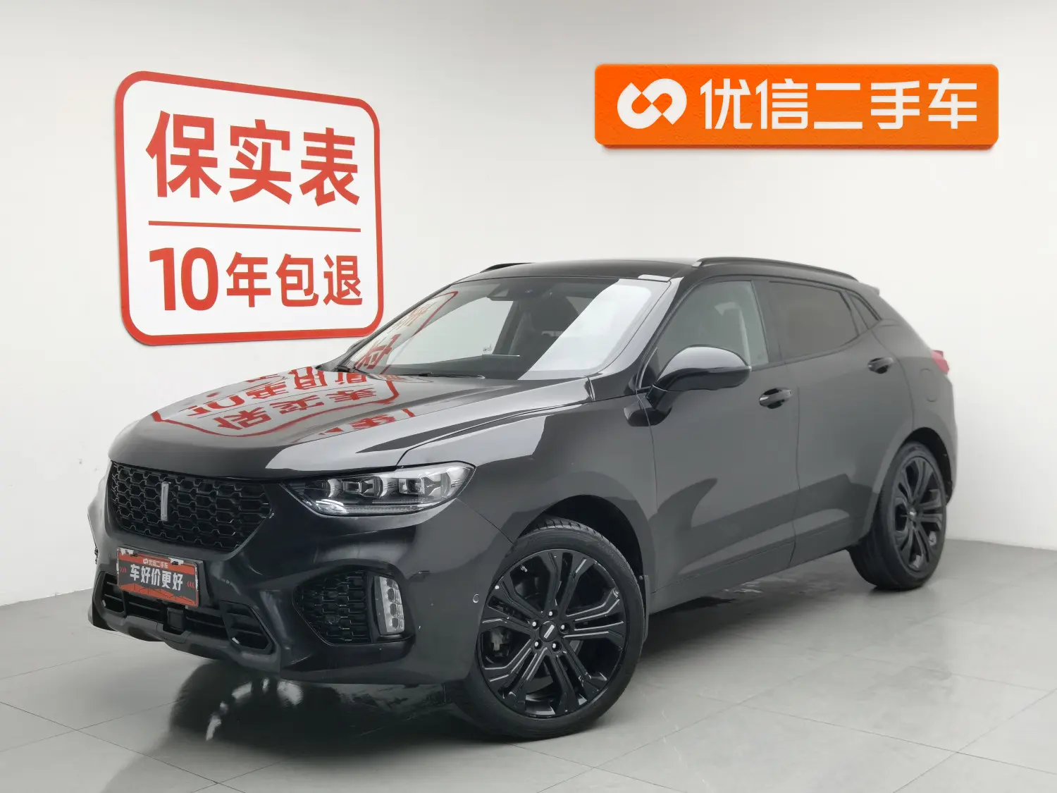 Wey Wei brand VV5