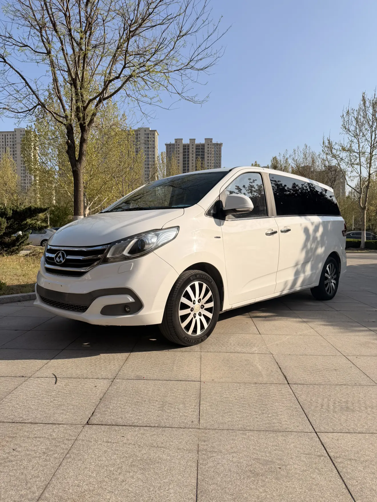Datong Maxus G10