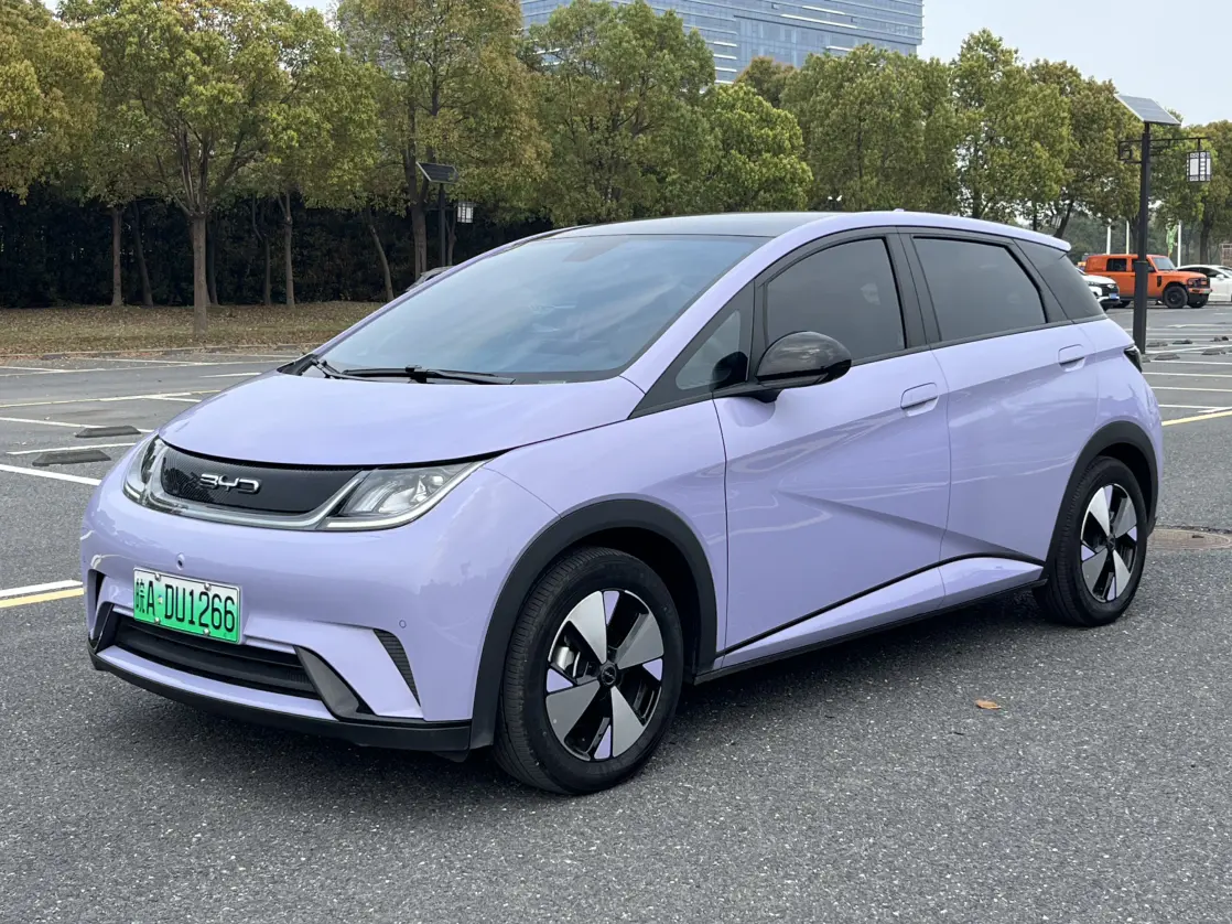 BYD Dolphin