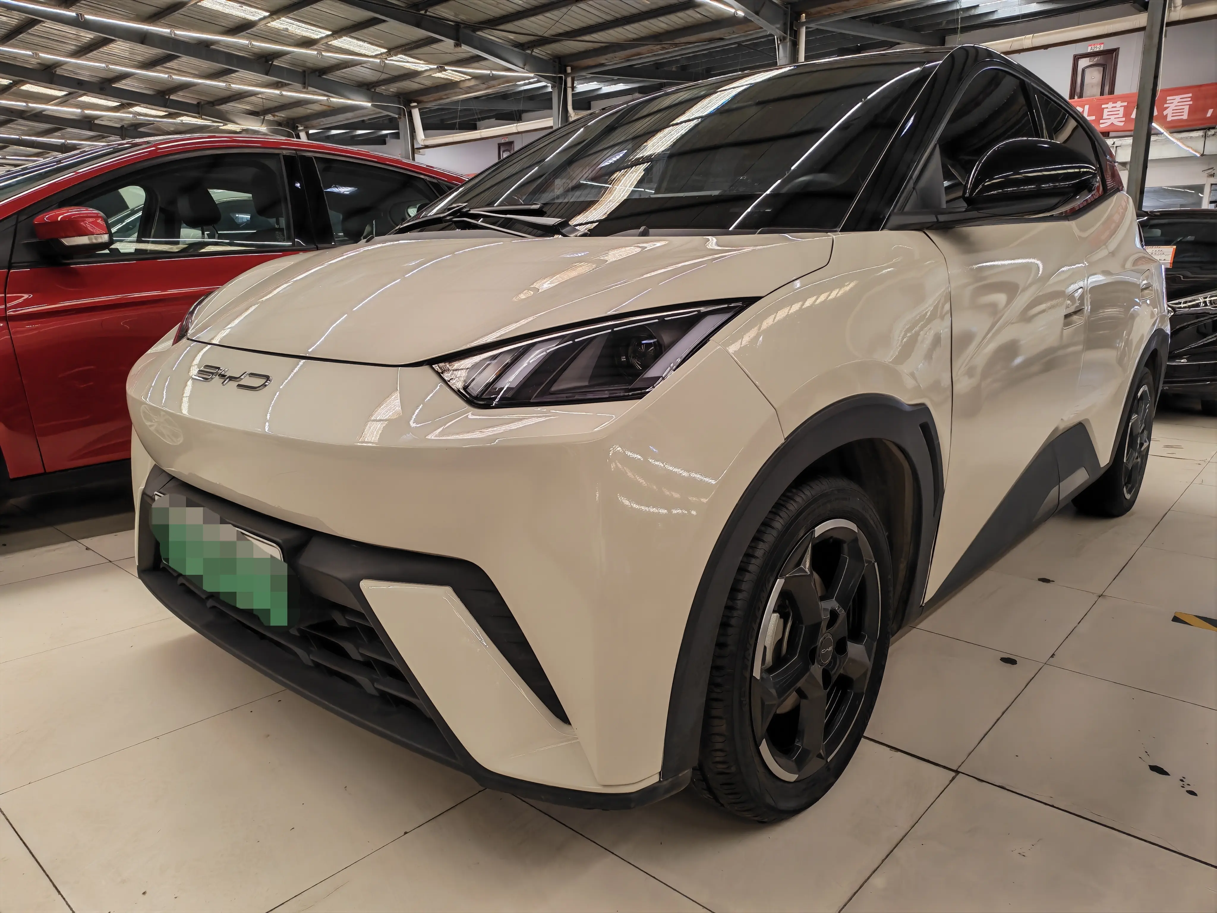 BYD Seagull
