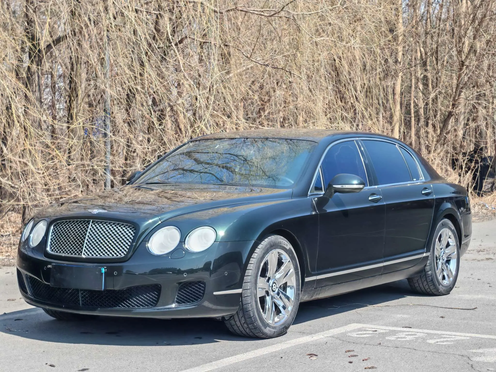 Bentley Galloping