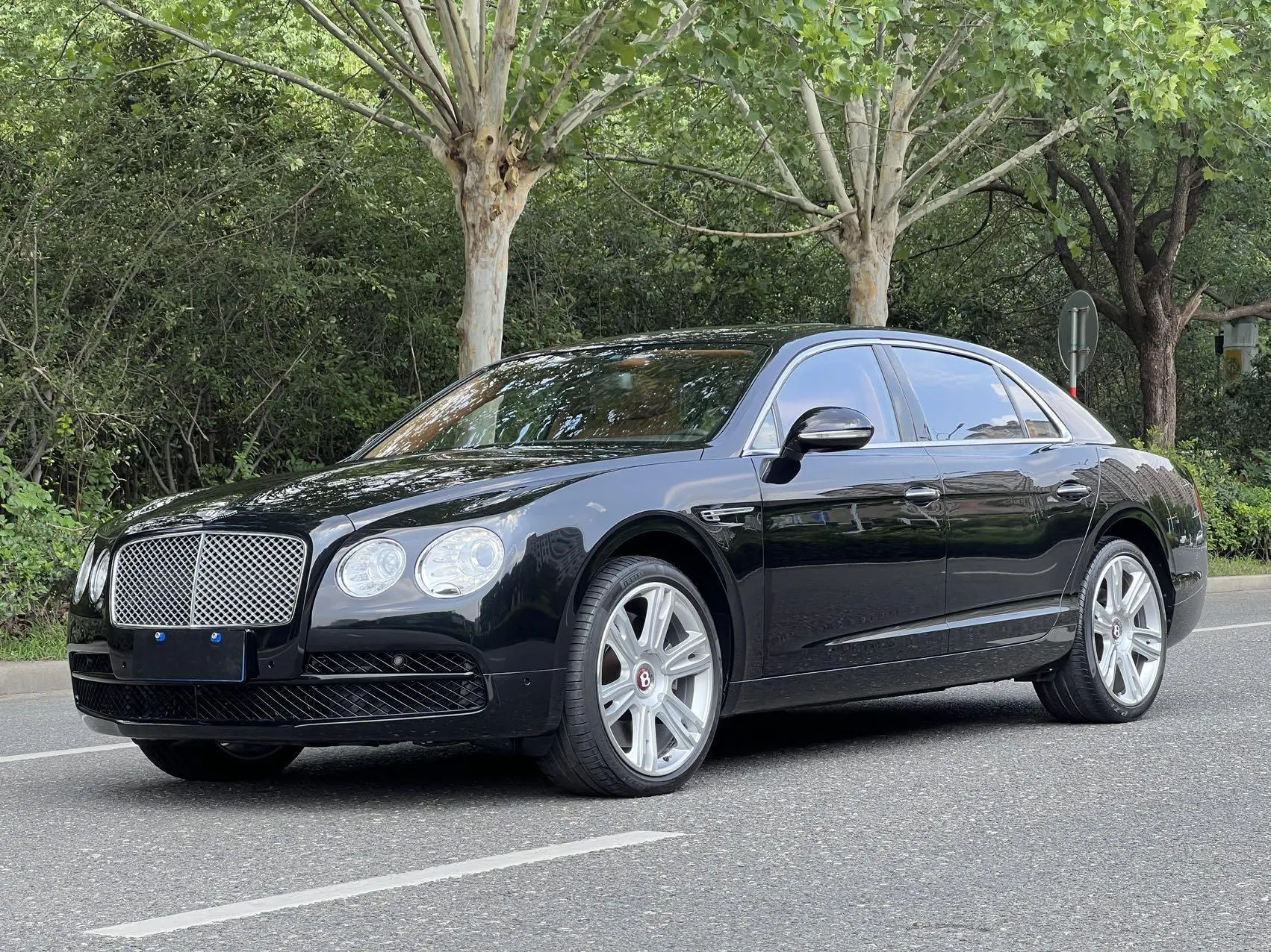 Bentley Galloping