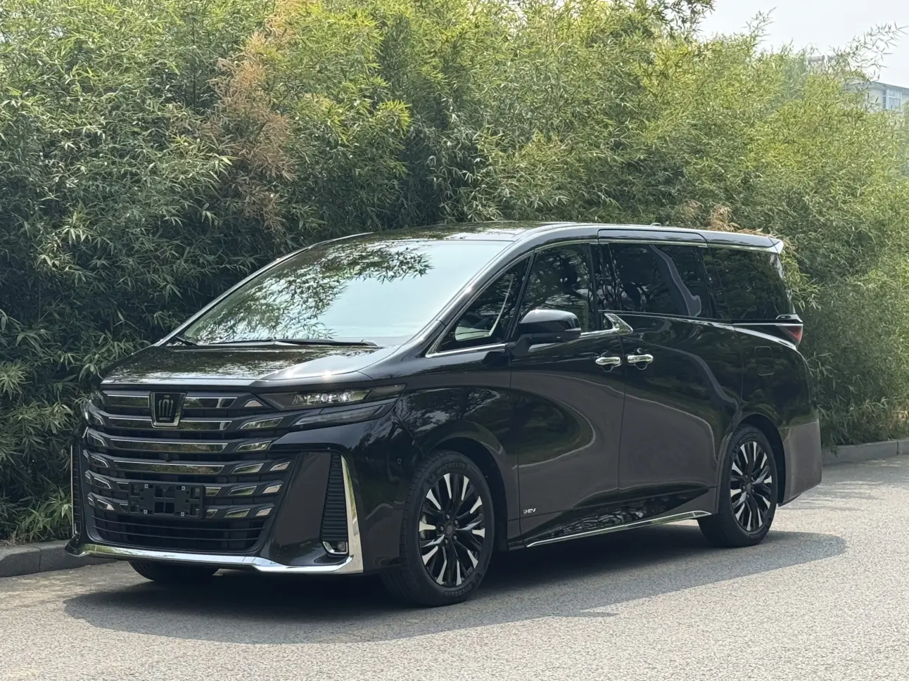 Toyota Crown Wellfire