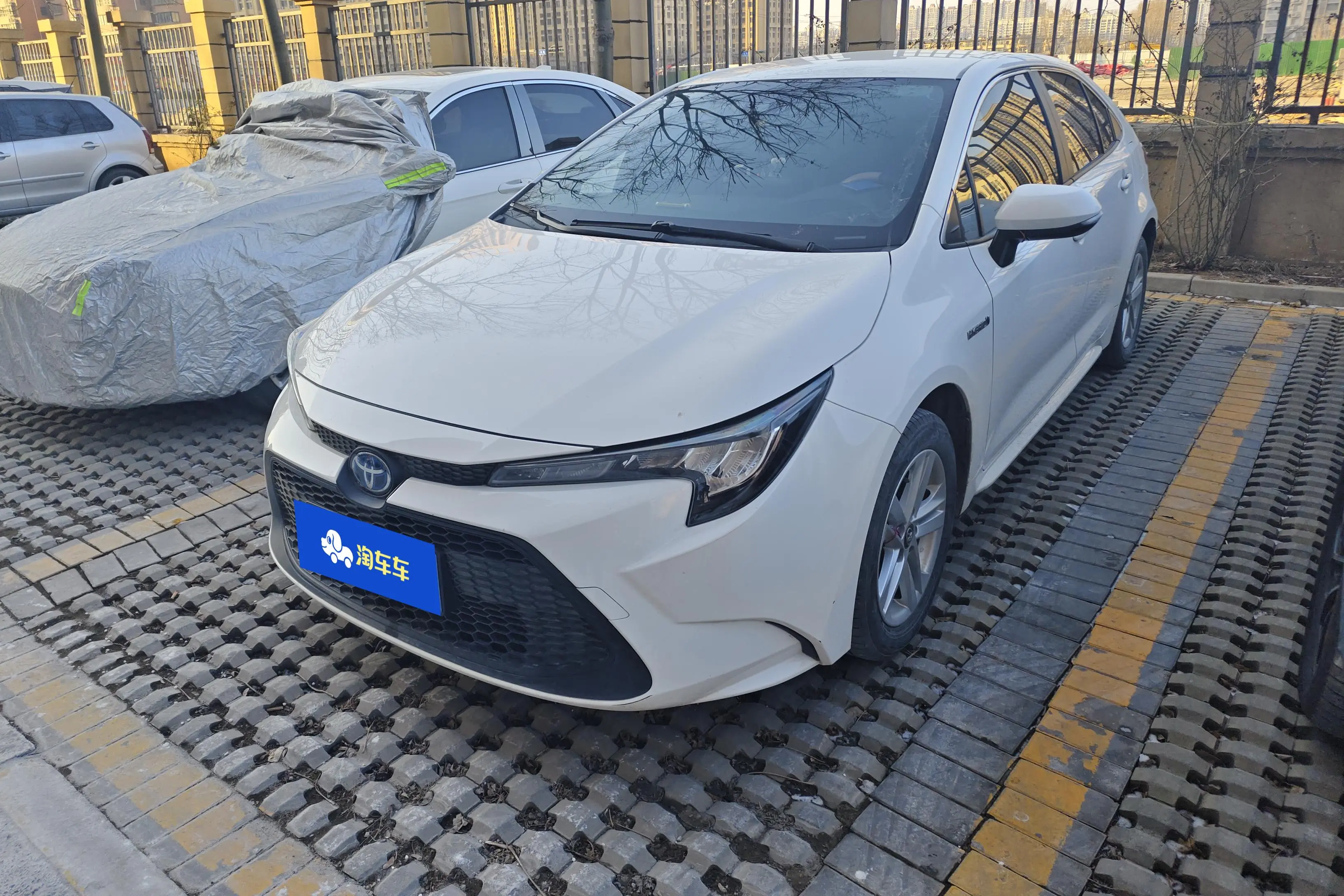 Toyota Levin