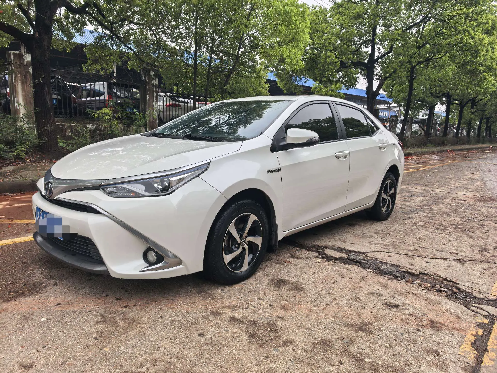 Toyota Levin