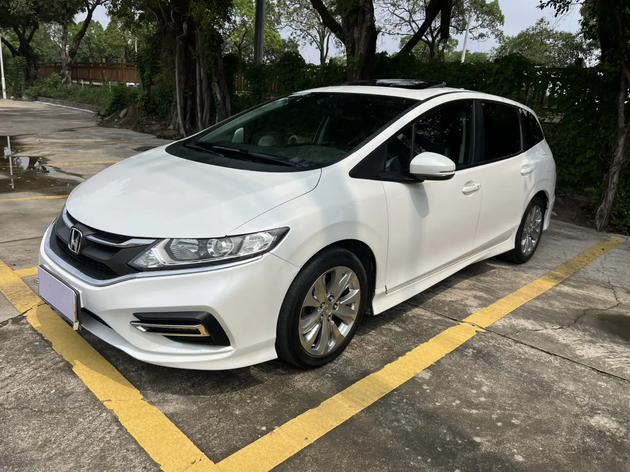 Honda Jed