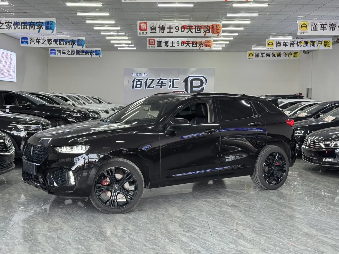 Wey Wei brand VV7
