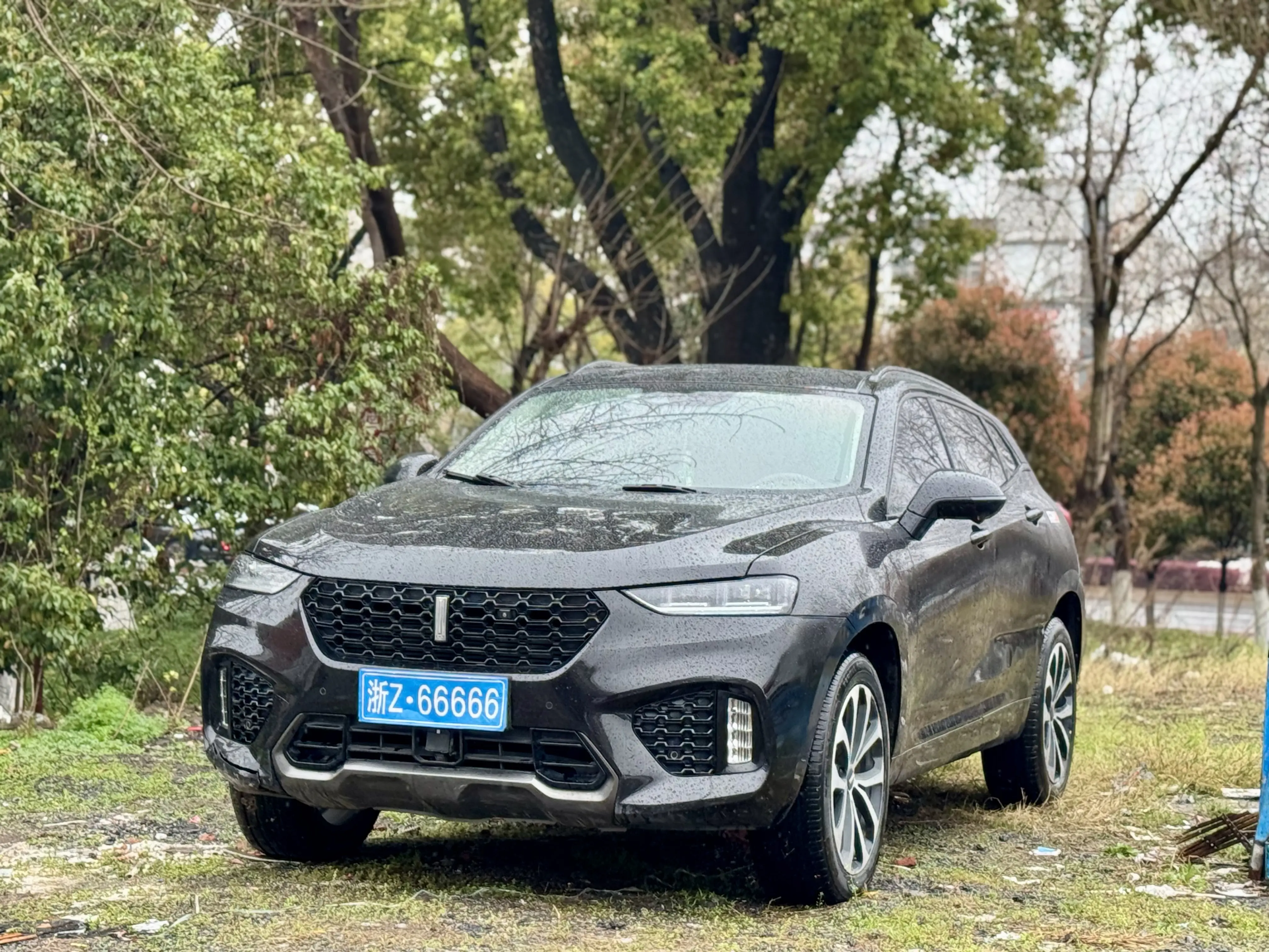 Wey Wei brand VV7