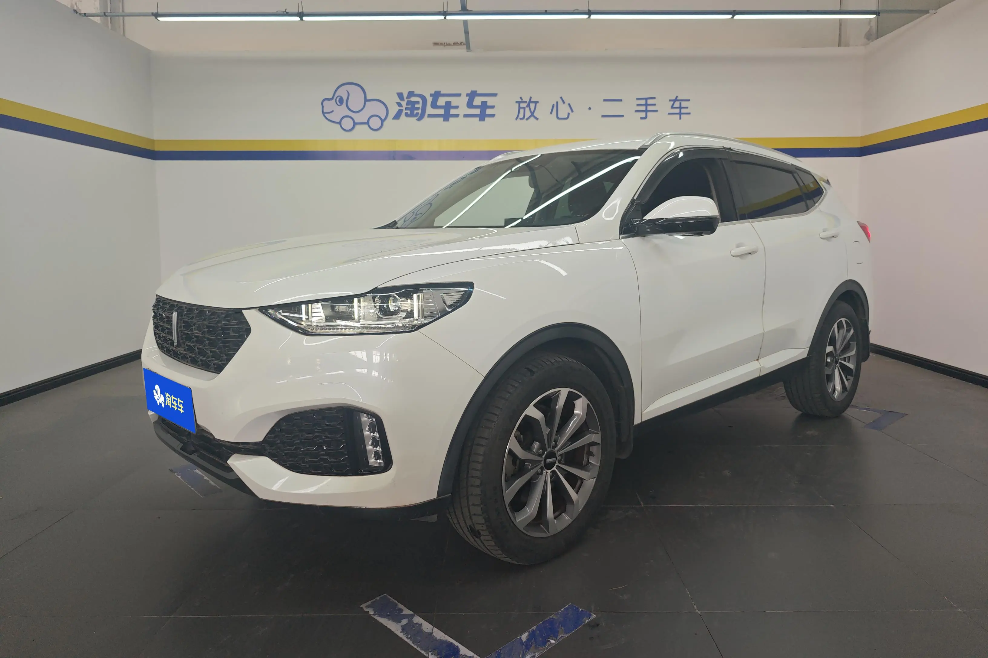 Wey Wei brand VV6