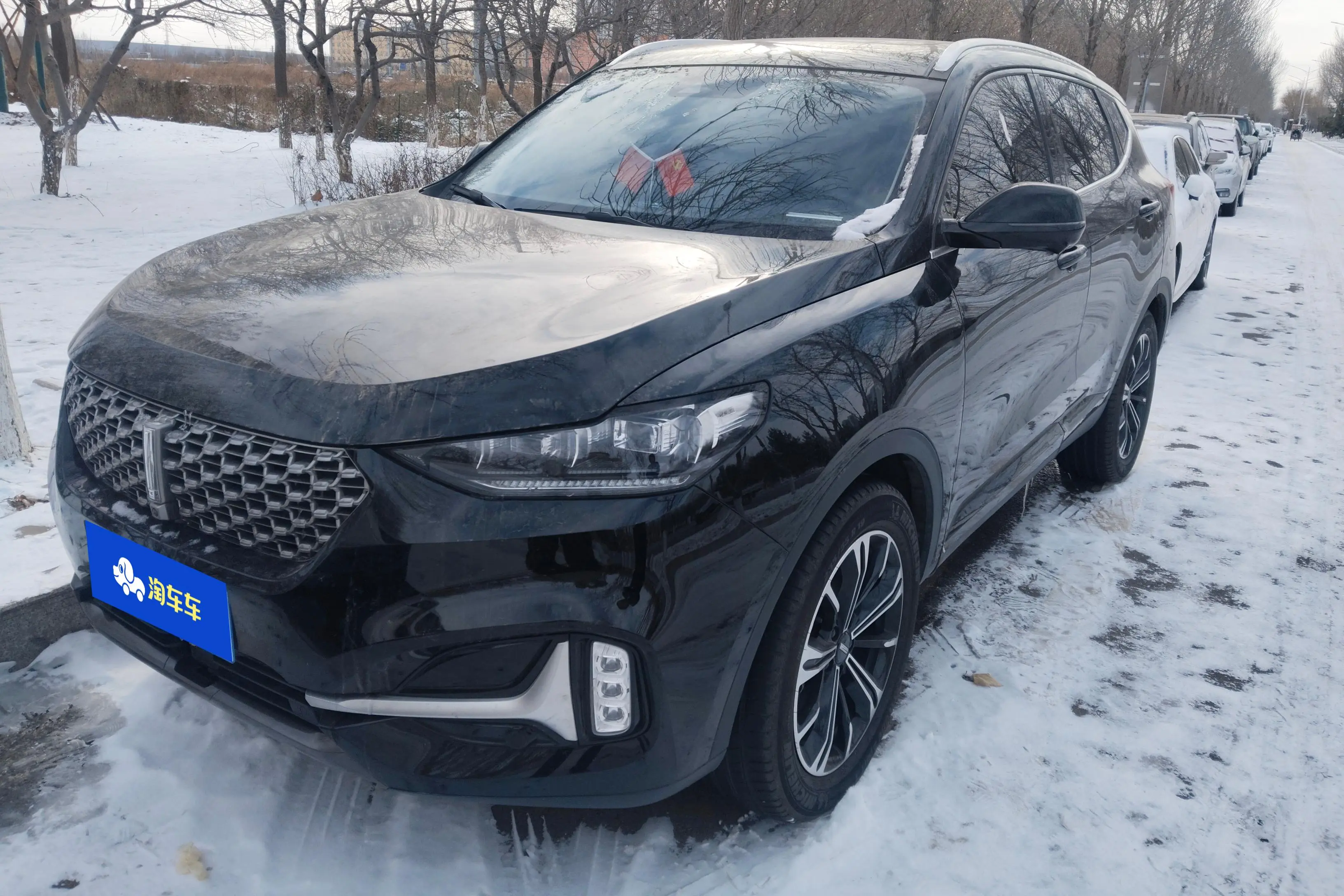 Wey Wei brand VV6