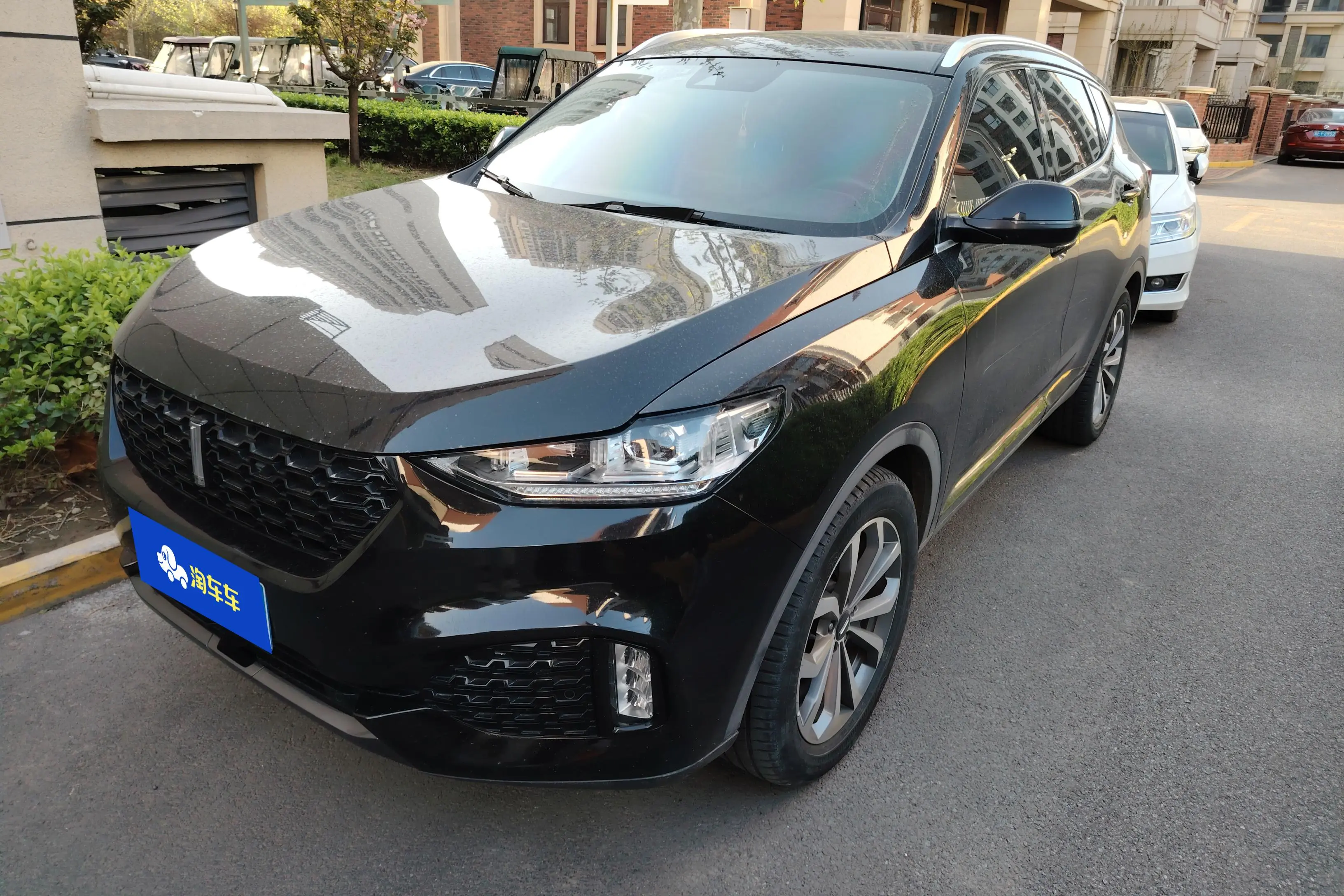 Wey Wei brand VV6